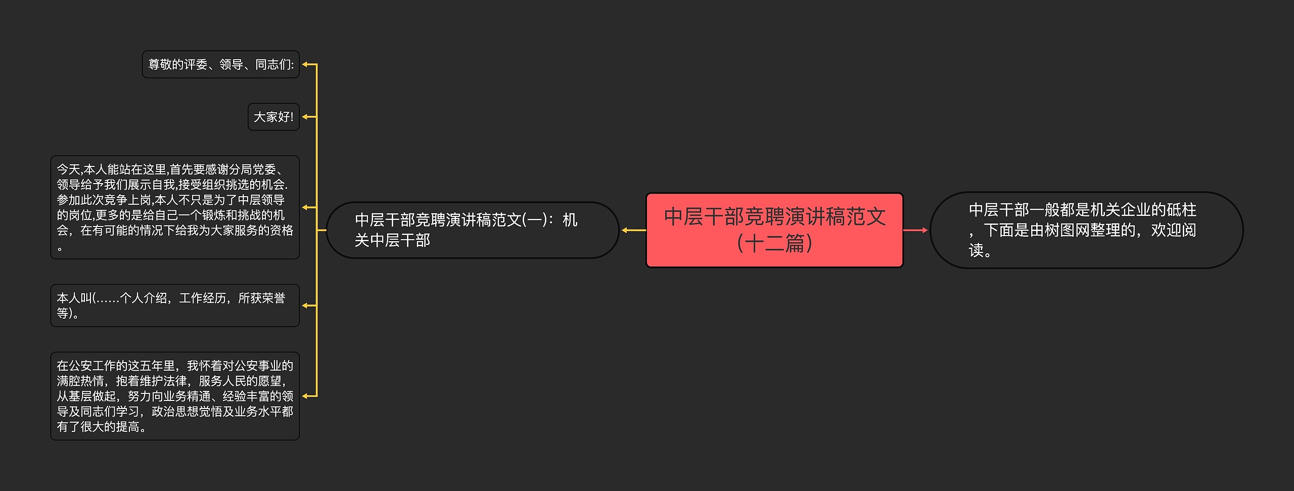 中层干部竞聘演讲稿范文（十二篇）思维导图