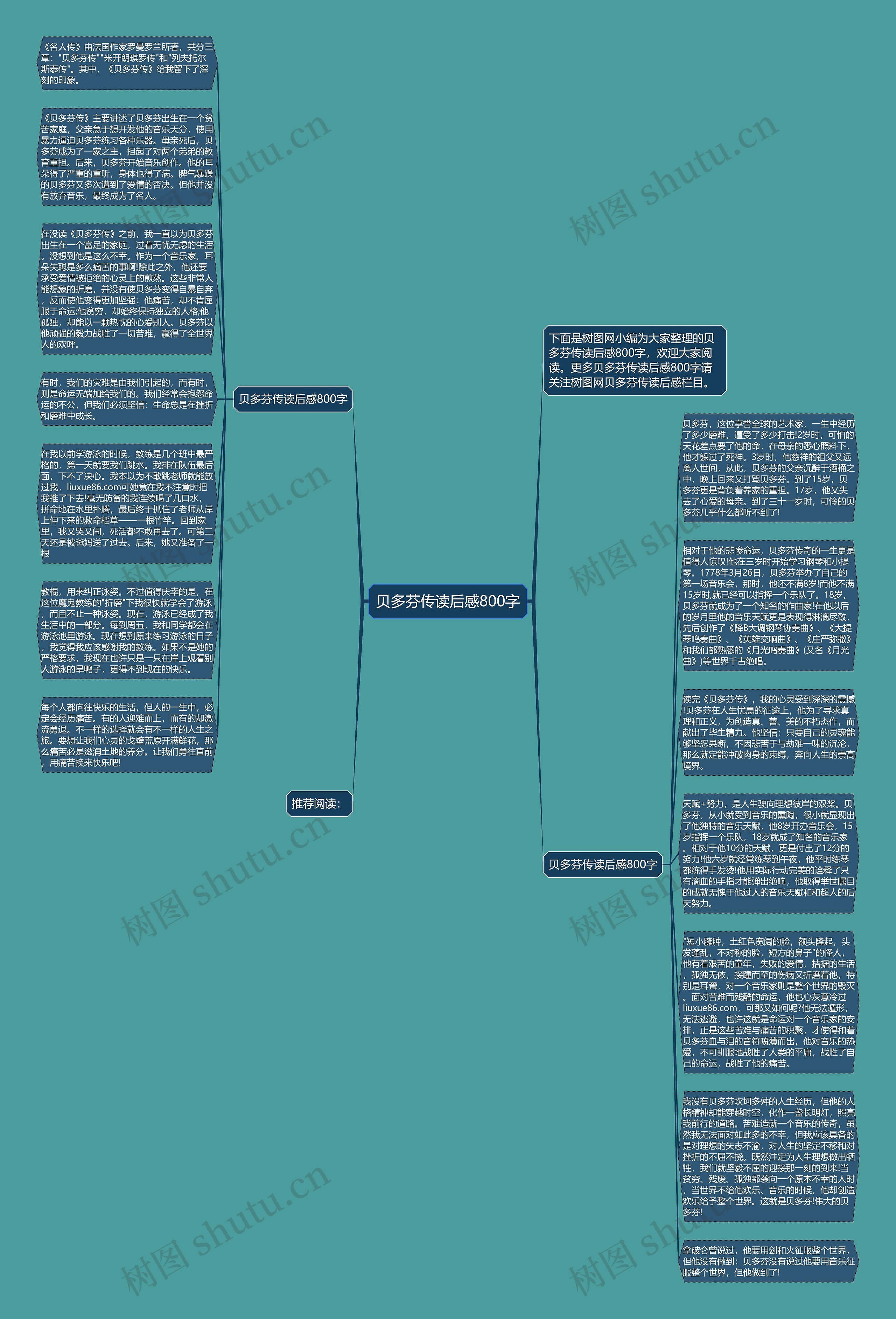 贝多芬传读后感800字思维导图