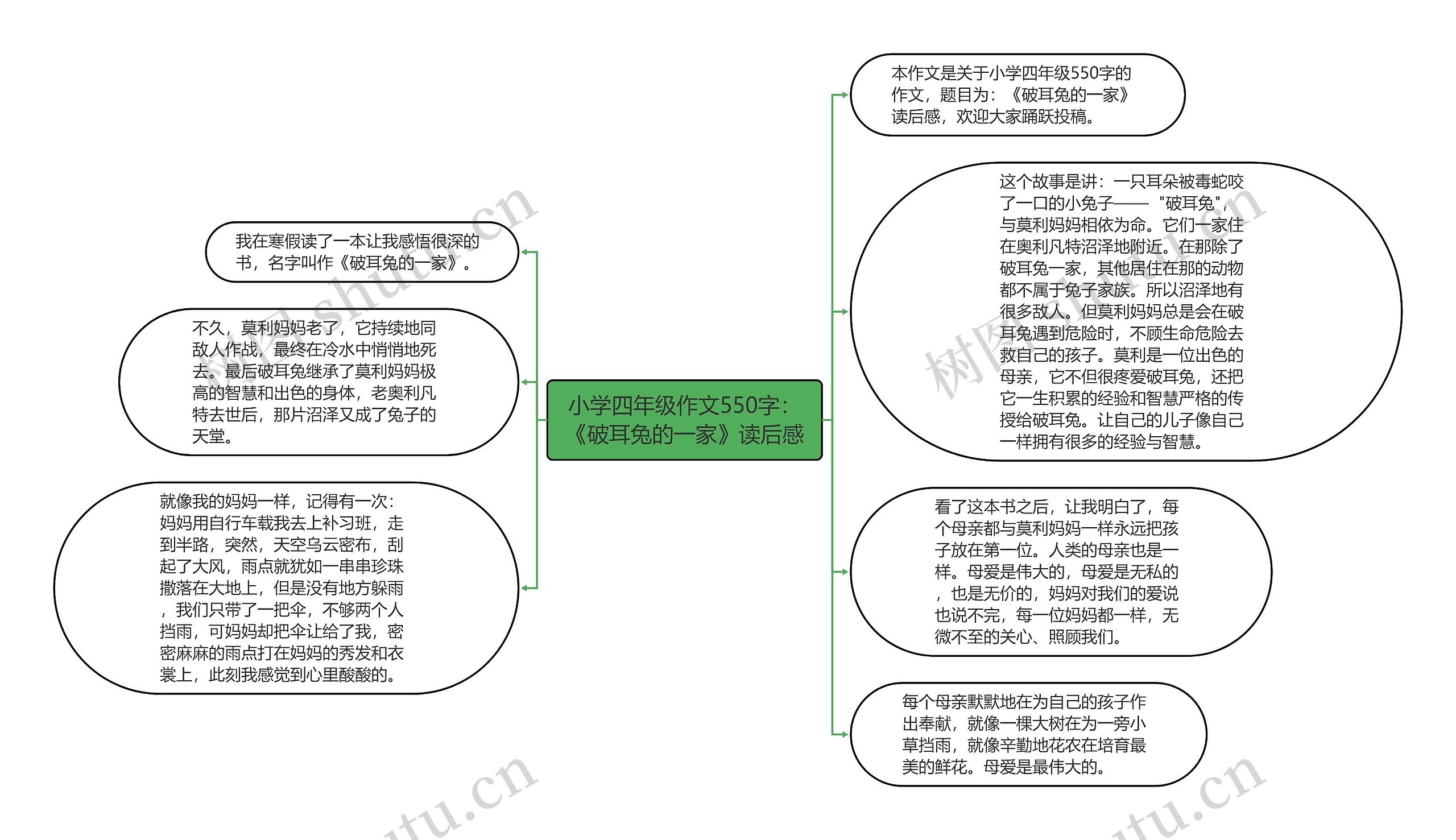 小学四年级作文550字：《破耳兔的一家》读后感