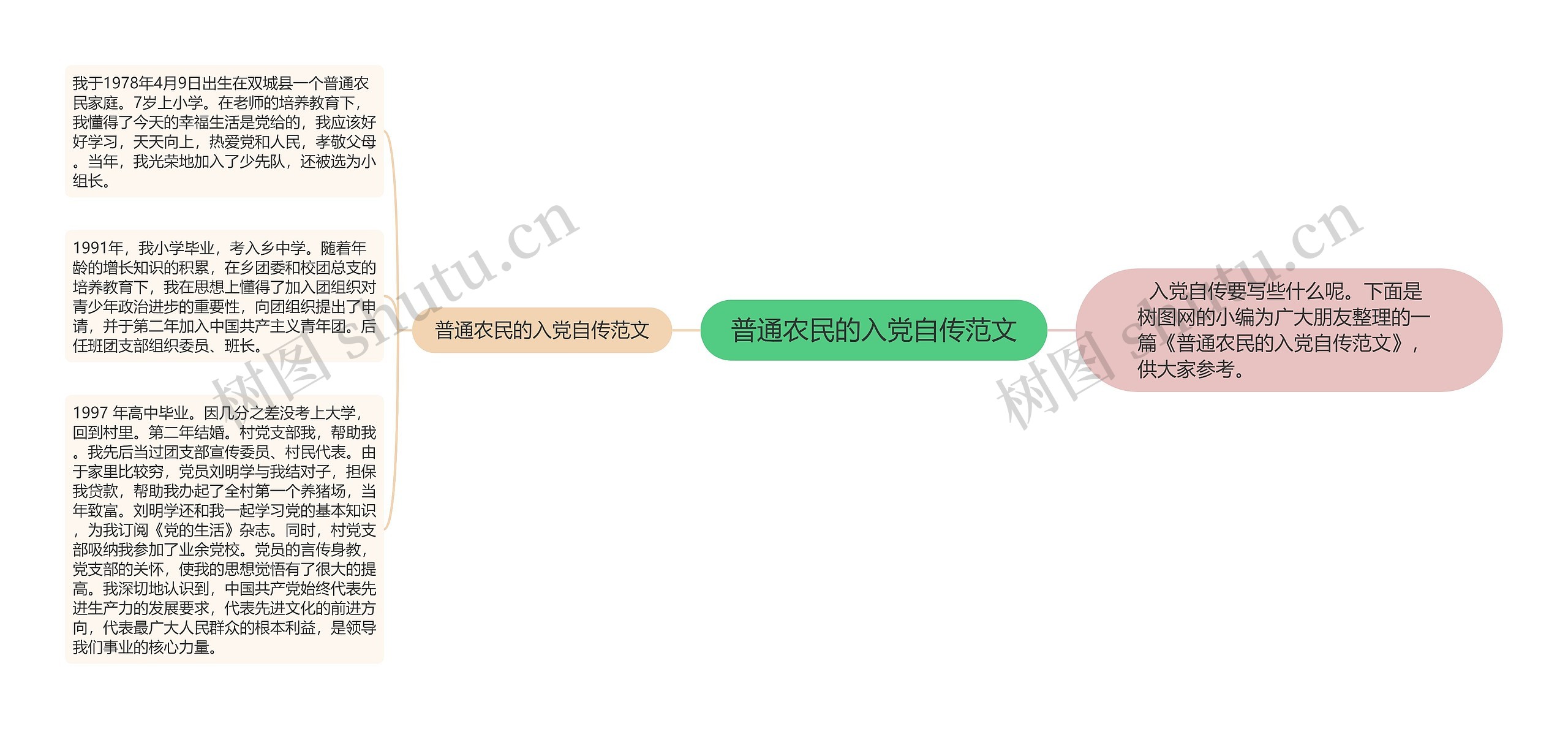 普通农民的入党自传范文思维导图