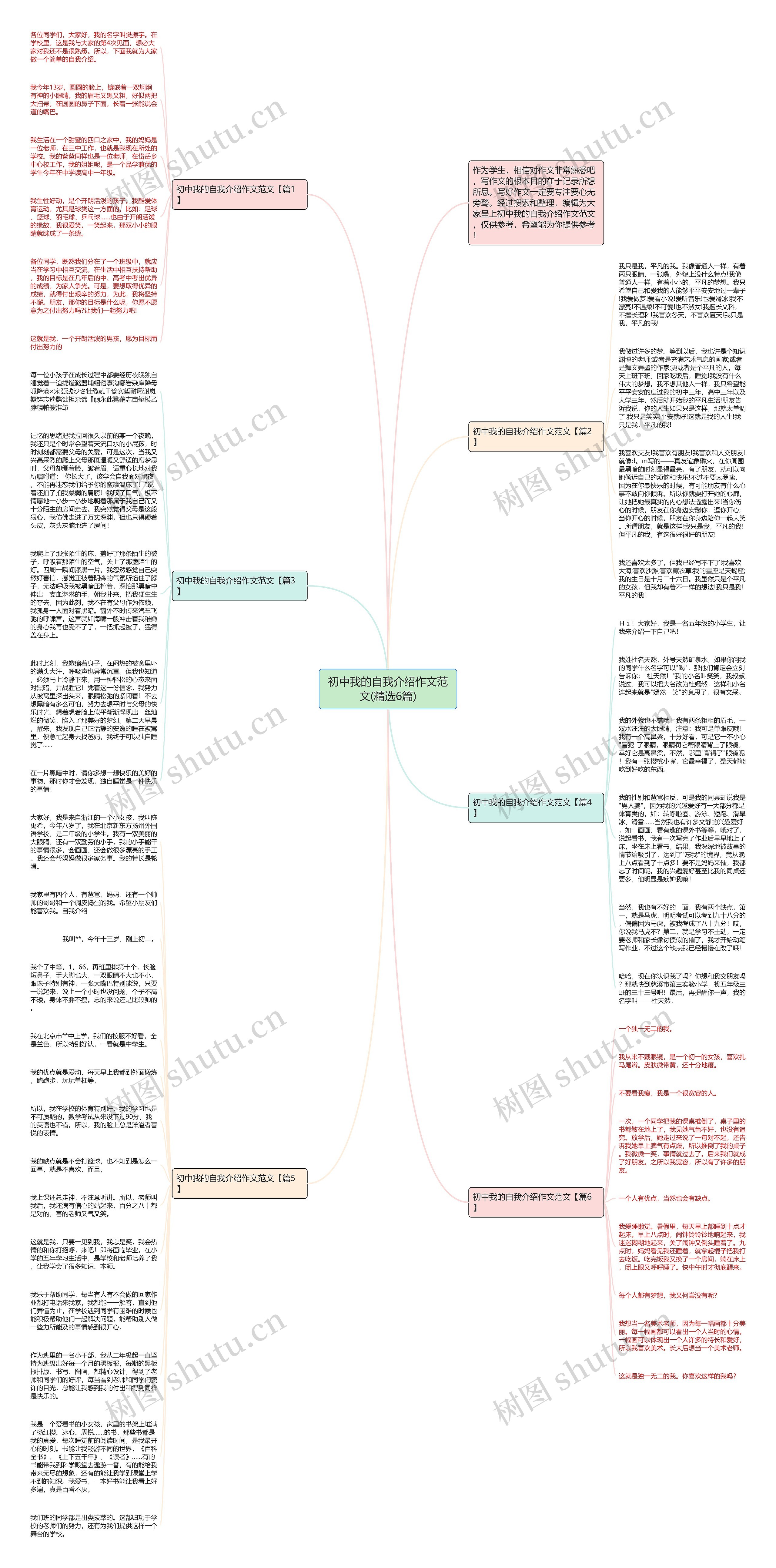 初中我的自我介绍作文范文(精选6篇)思维导图