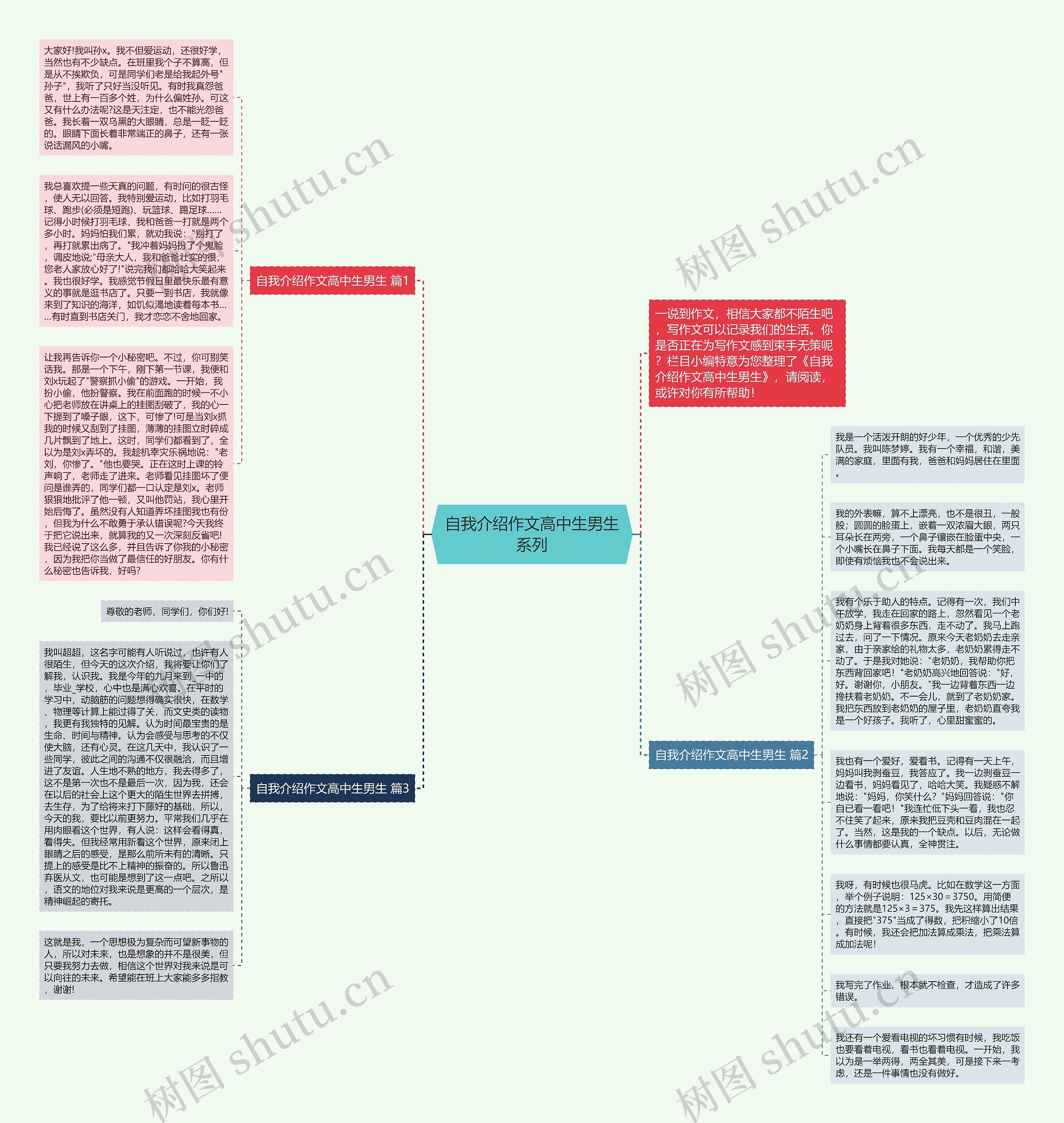 自我介绍作文高中生男生系列思维导图