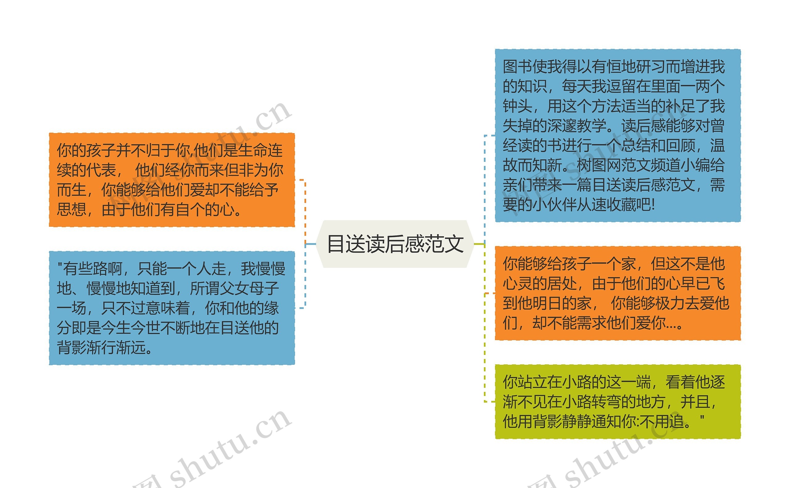 目送读后感范文