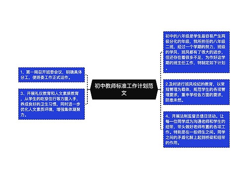 初中教师标准工作计划范文