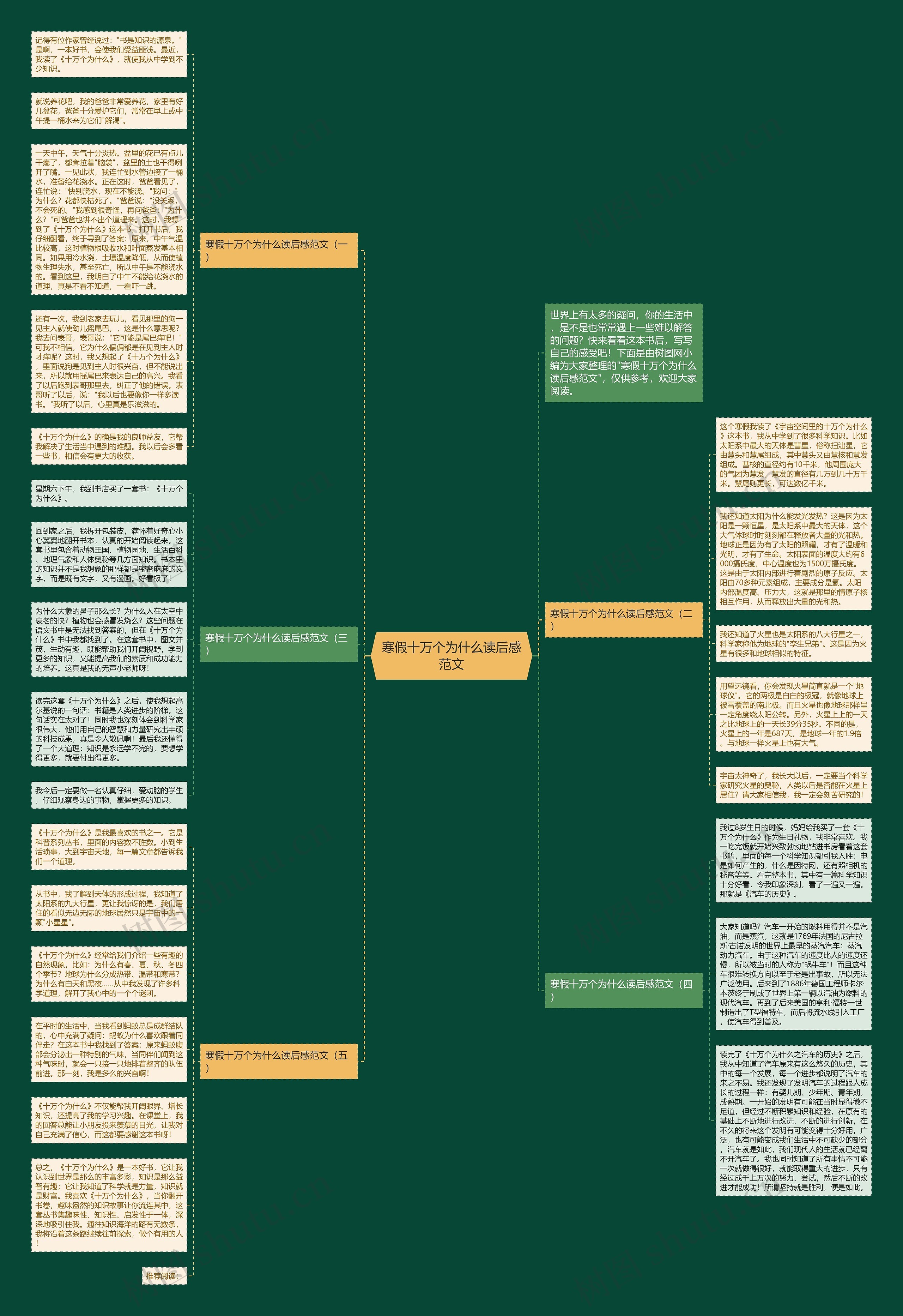 寒假十万个为什么读后感范文思维导图