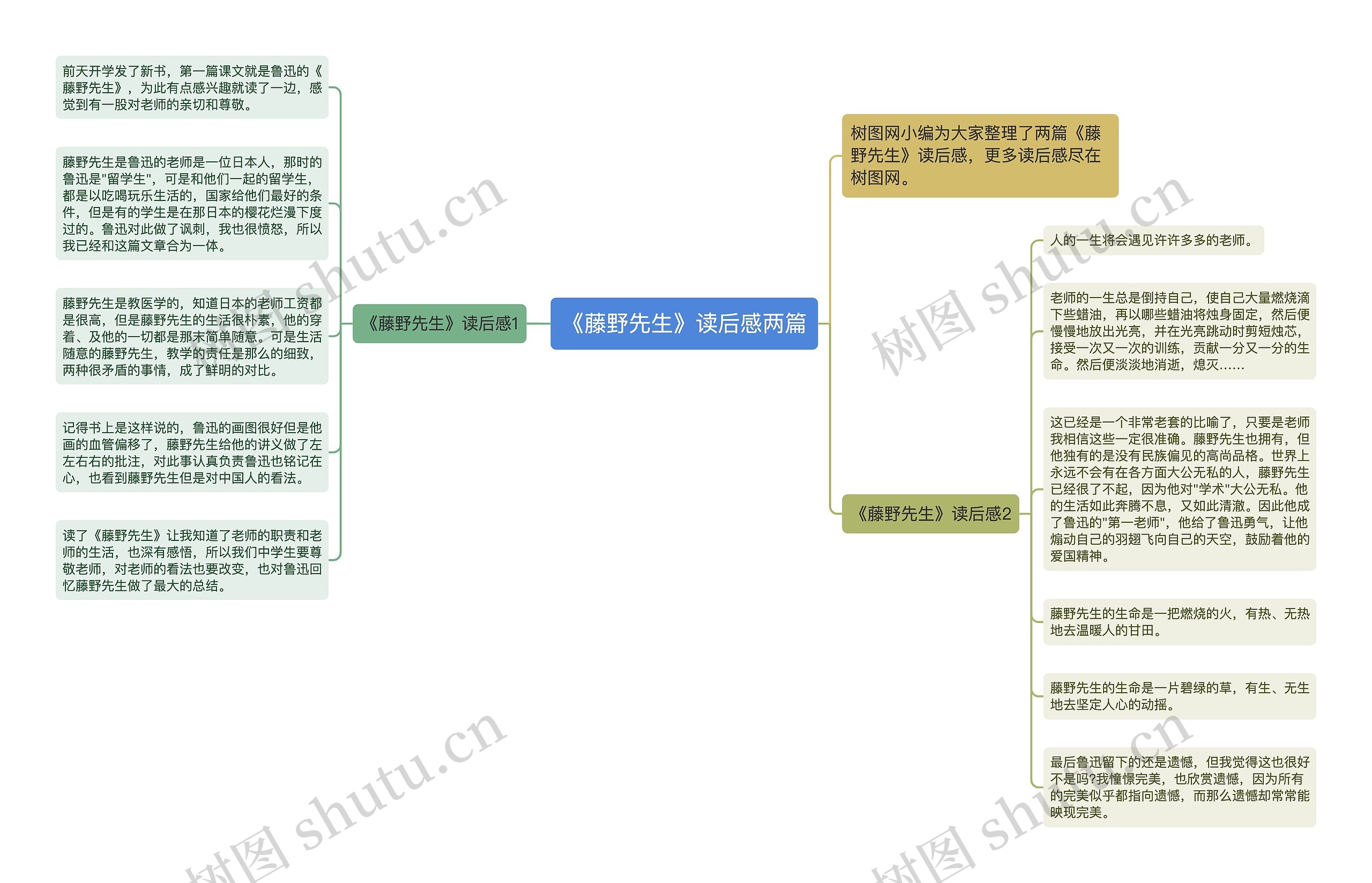 《藤野先生》读后感两篇思维导图