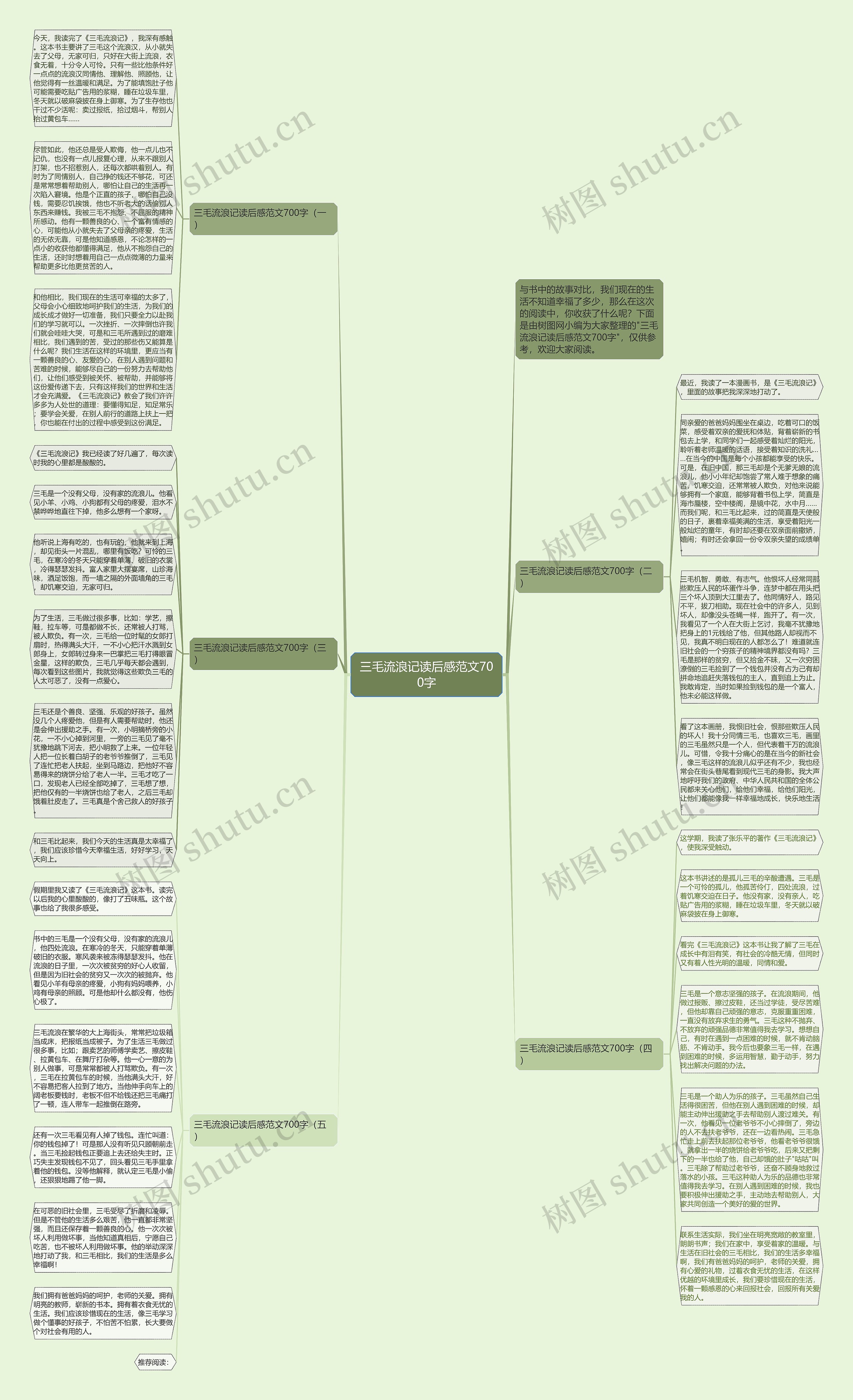 三毛流浪记读后感范文700字思维导图