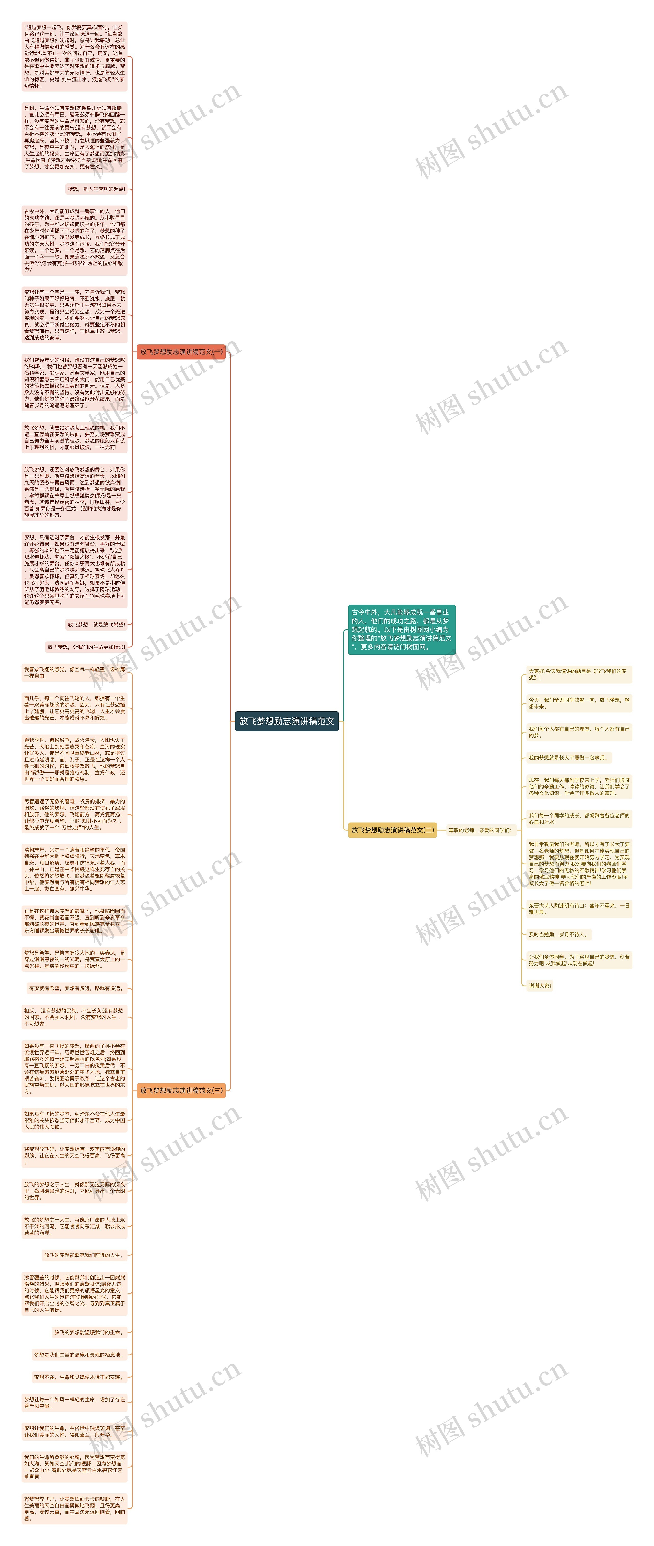 放飞梦想励志演讲稿范文思维导图