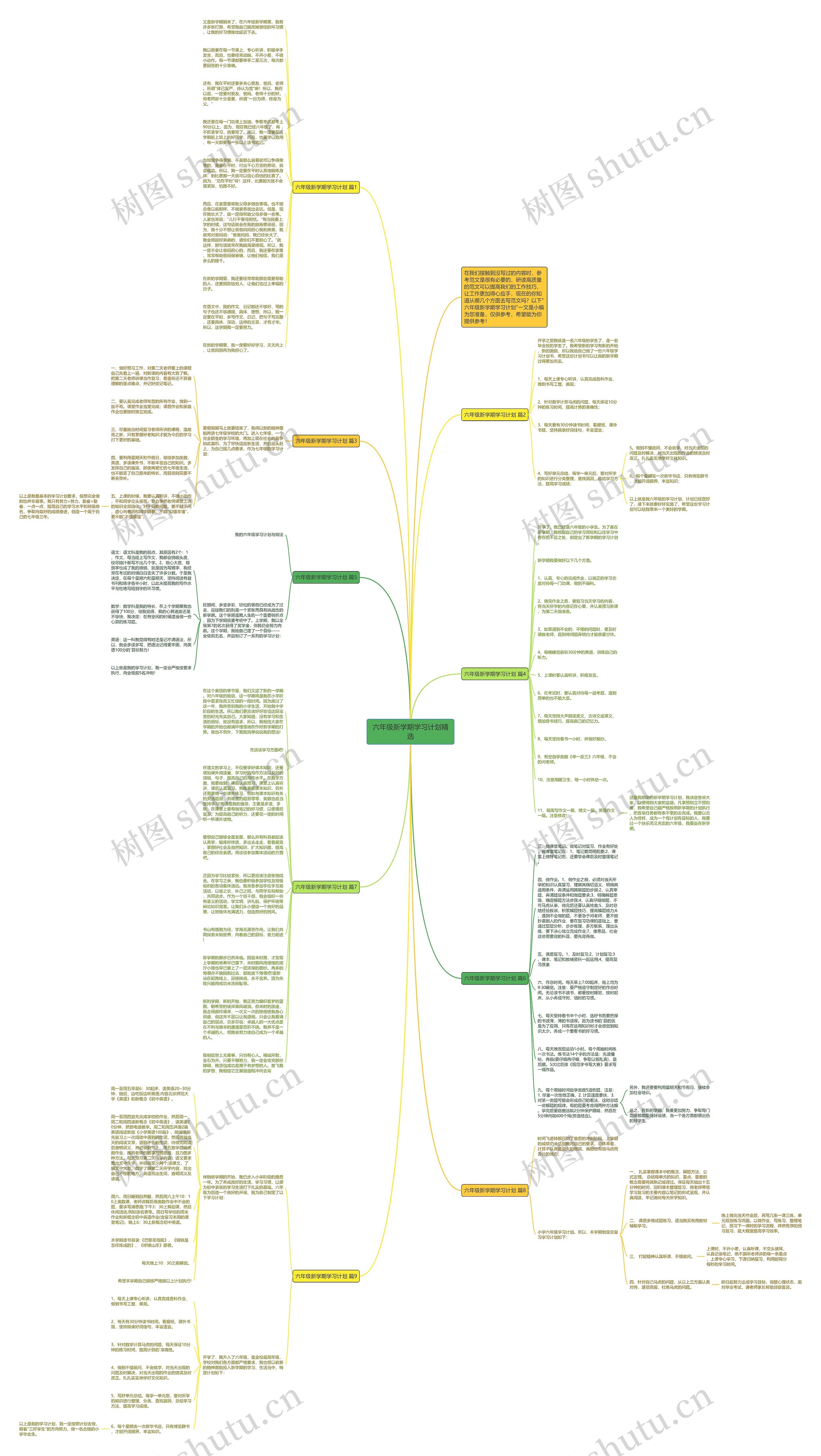 六年级新学期学习计划精选思维导图