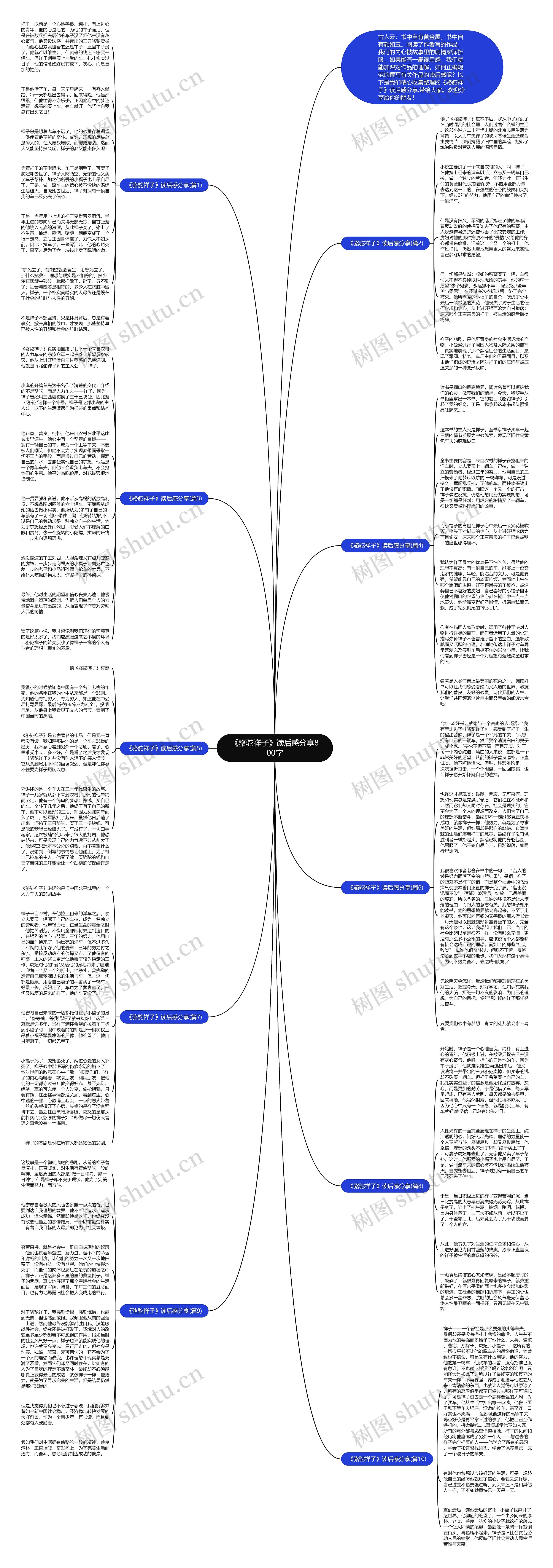《骆驼祥子》读后感分享800字思维导图