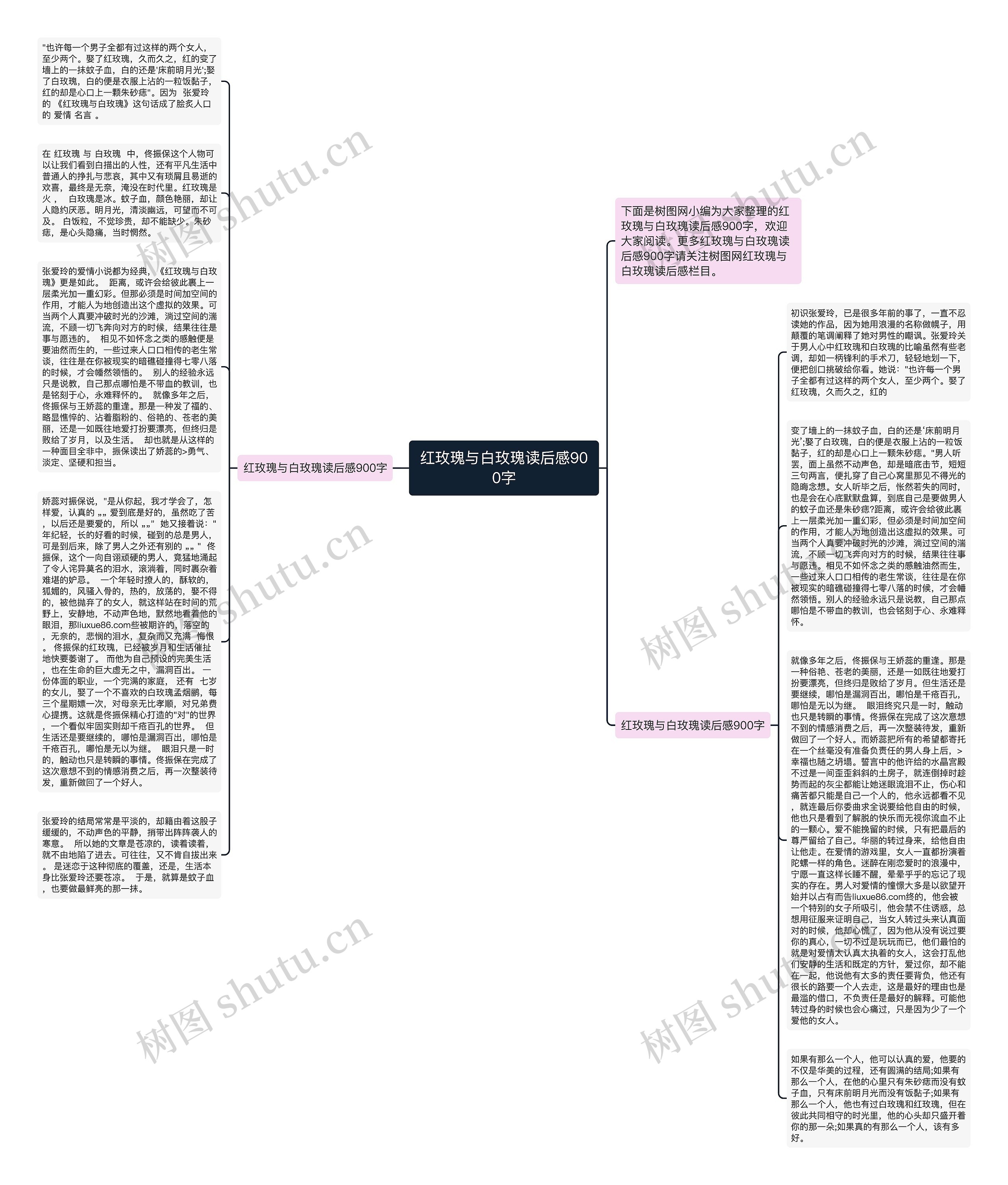 红玫瑰与白玫瑰读后感900字思维导图