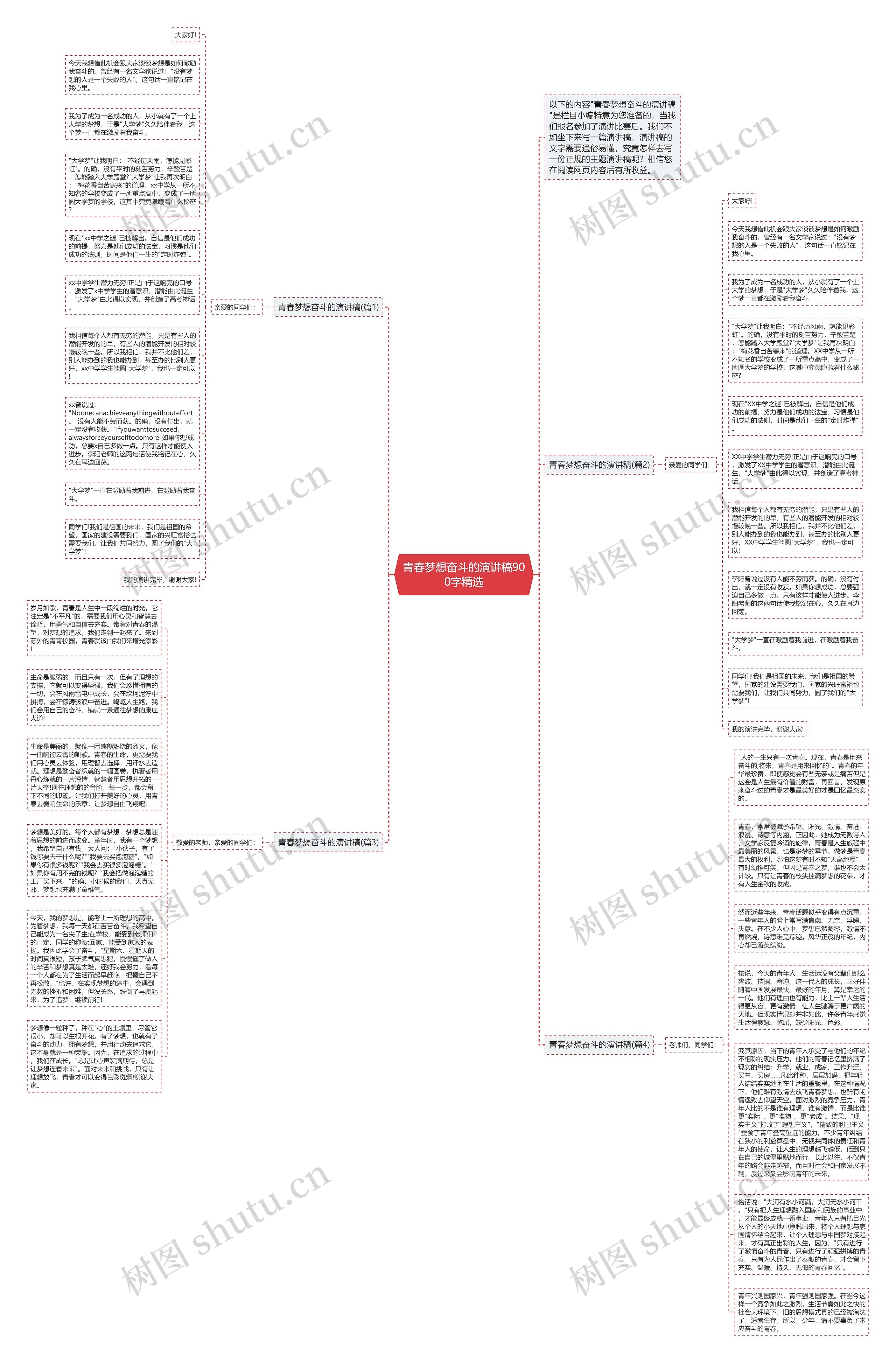 青春梦想奋斗的演讲稿900字精选思维导图