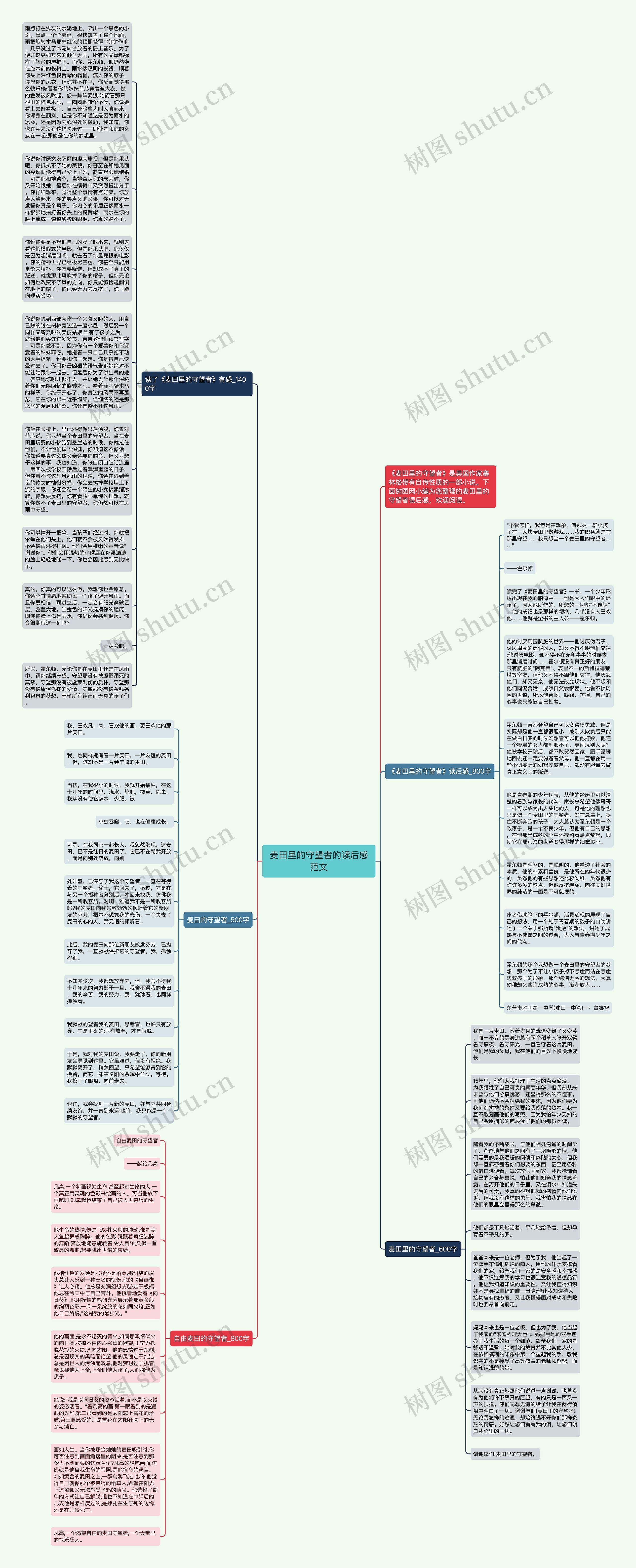 麦田里的守望者的读后感范文思维导图