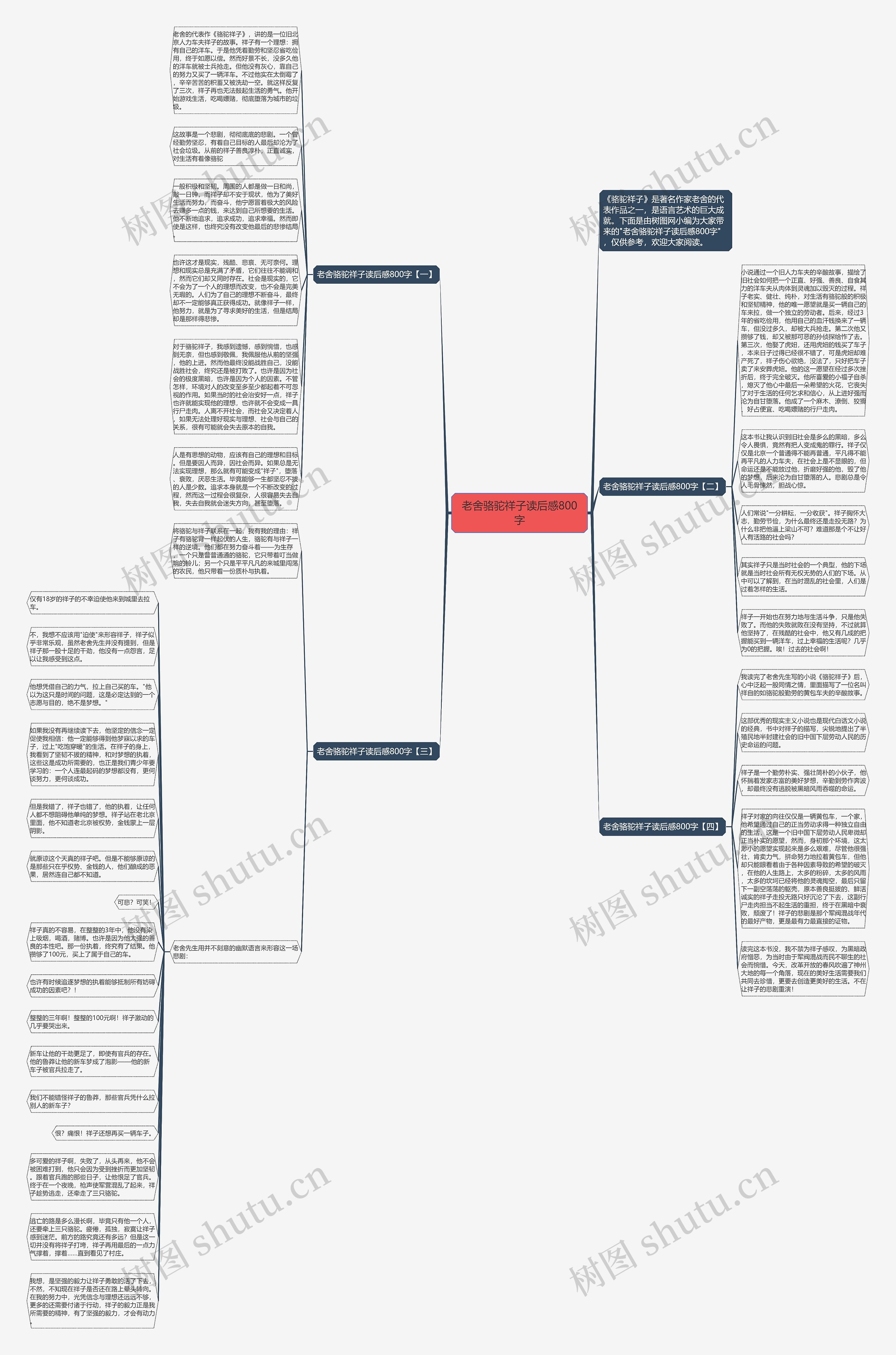 老舍骆驼祥子读后感800字思维导图