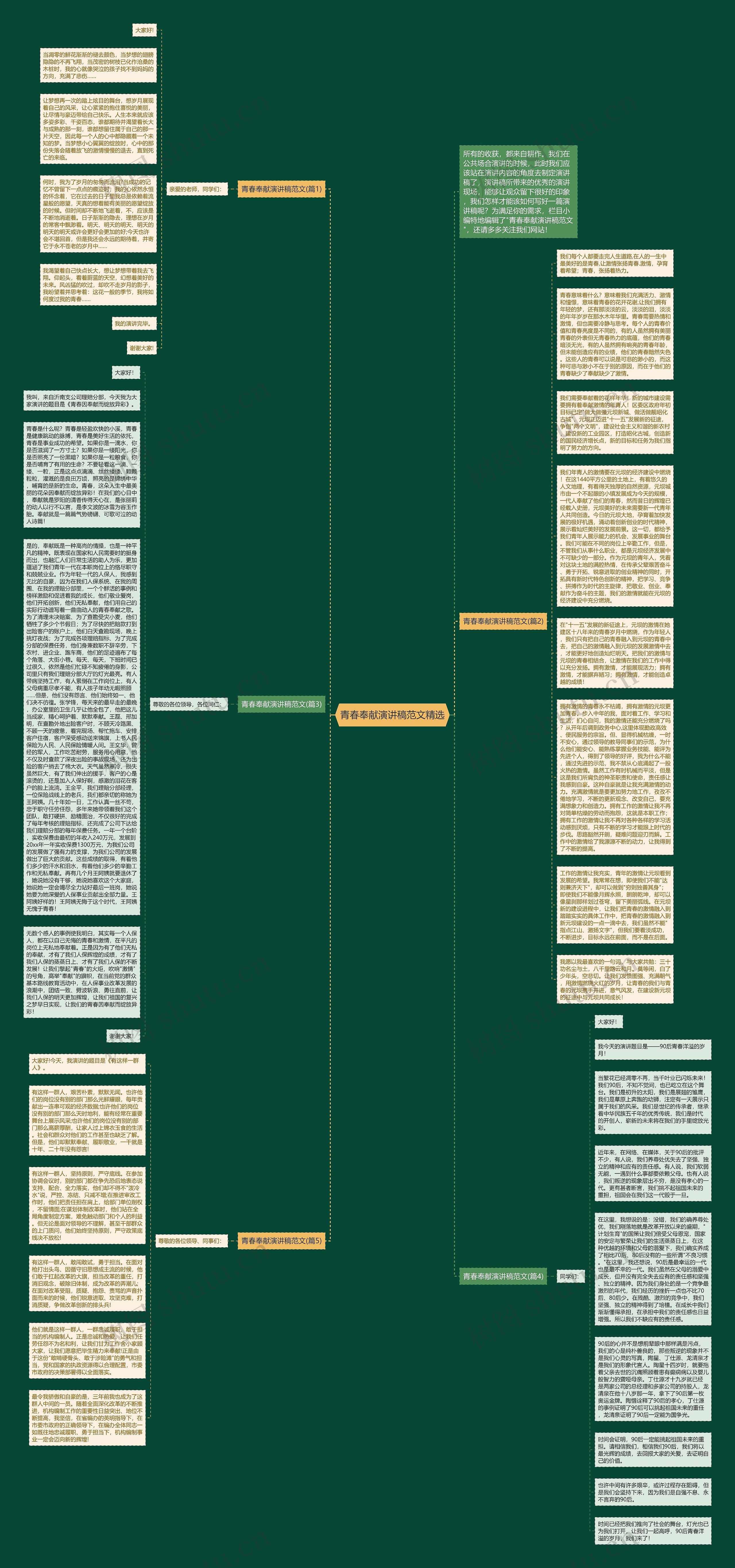 青春奉献演讲稿范文精选思维导图