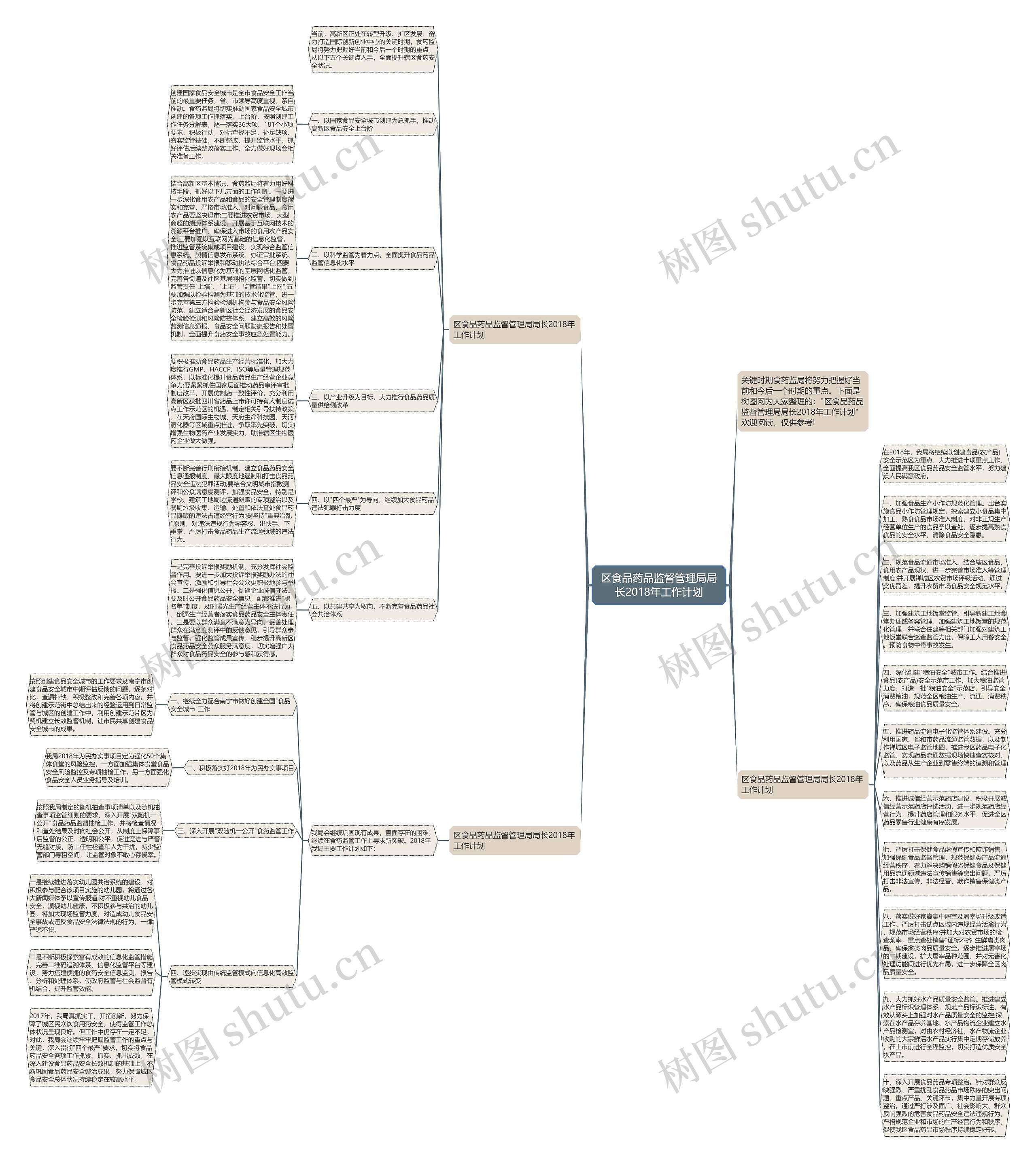 区食品药品监督管理局局长2018年工作计划思维导图