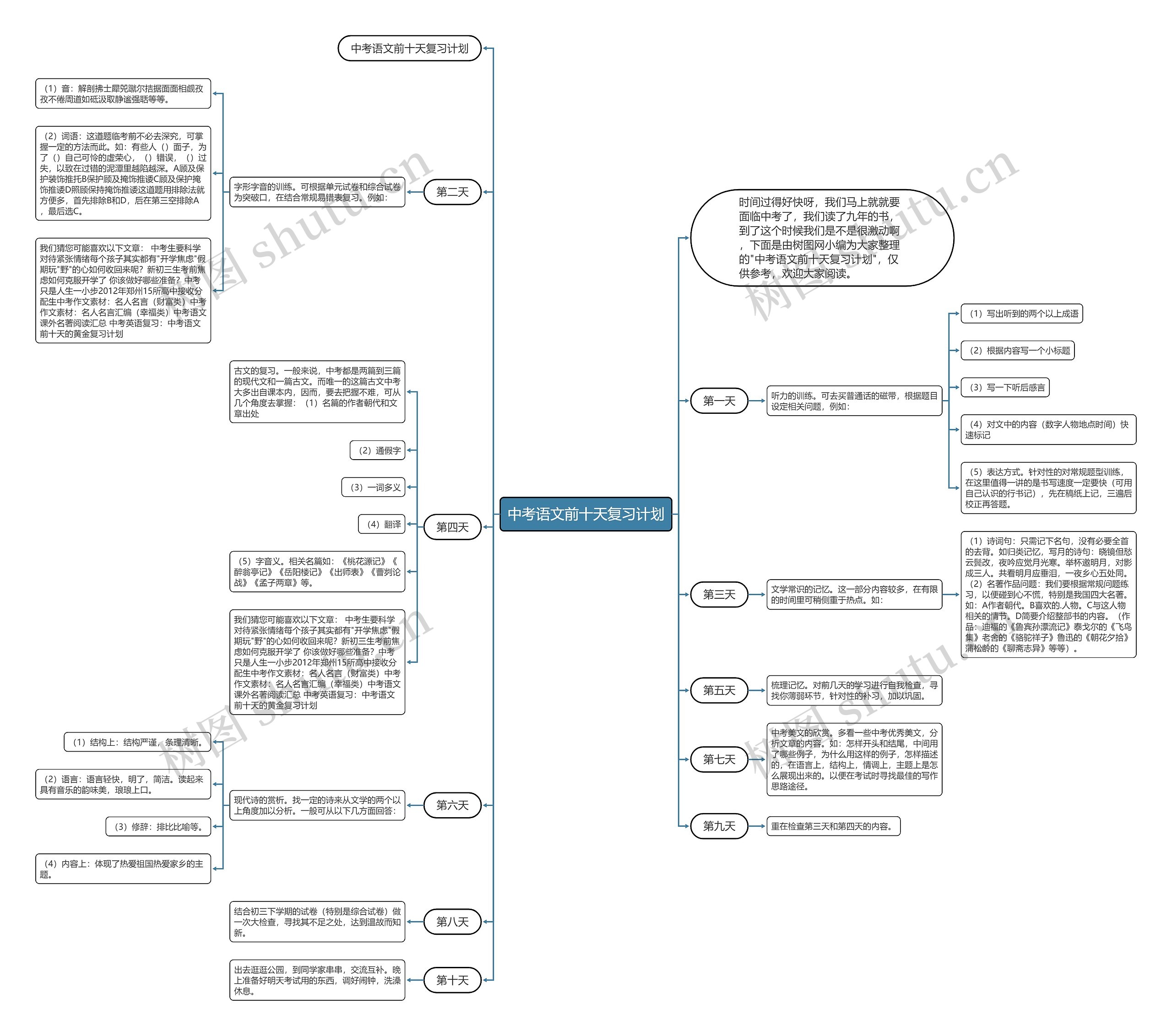 中考语文前十天复习计划思维导图