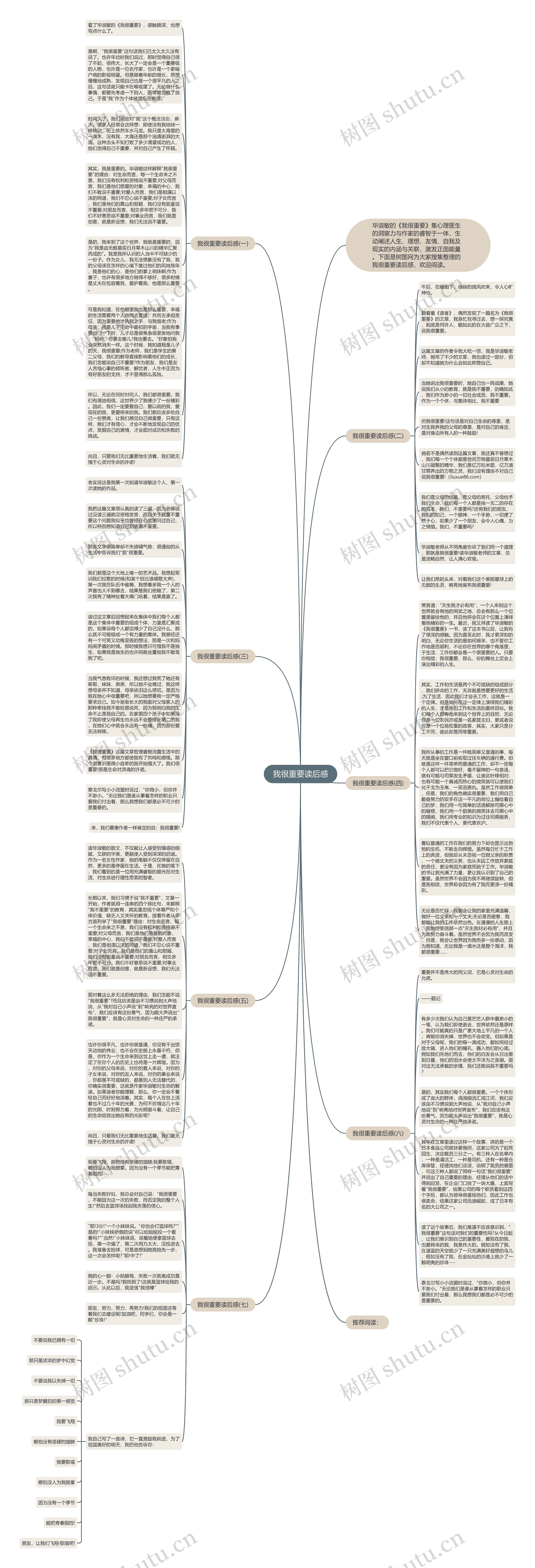 我很重要读后感思维导图