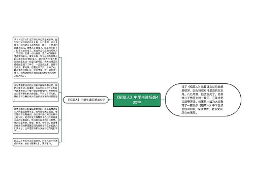 《稻草人》中学生读后感400字