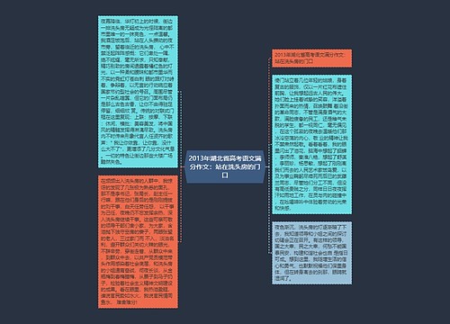 2013年湖北省高考语文满分作文：站在洗头房的门口