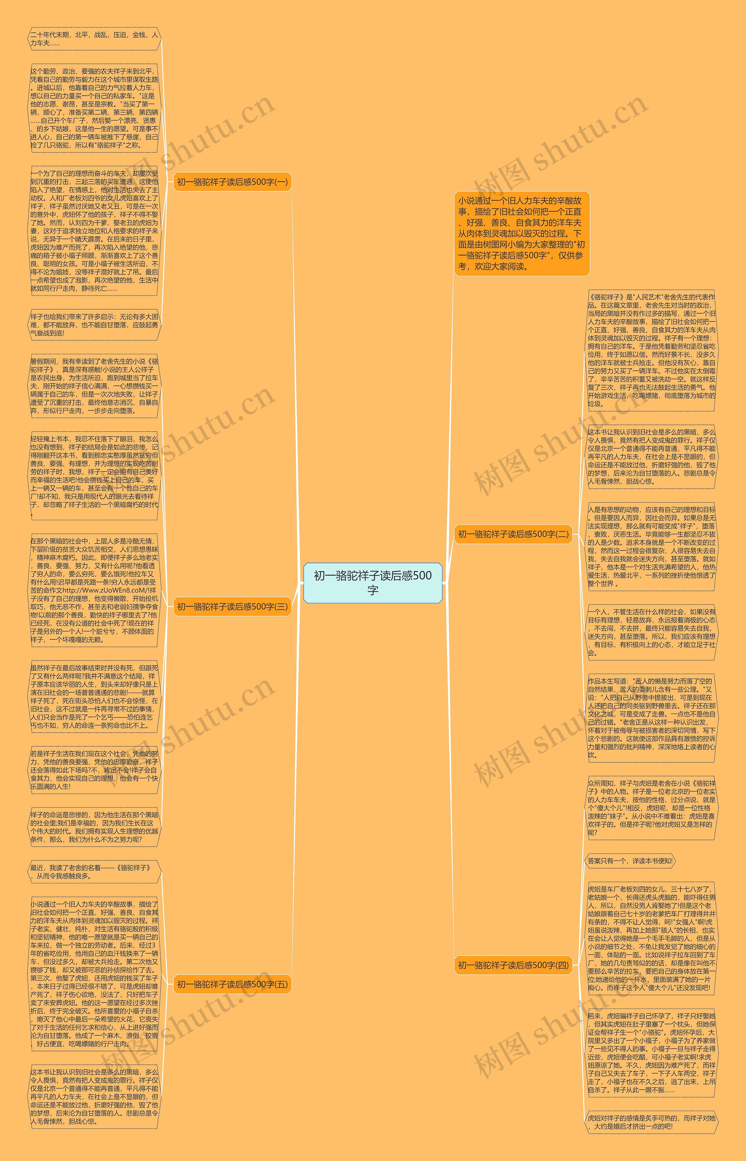 初一骆驼祥子读后感500字思维导图