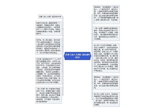 名著《老人与海》读后感800字