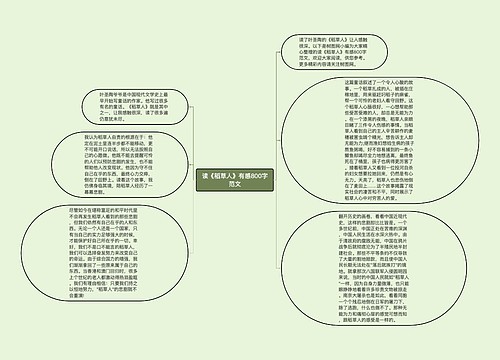 读《稻草人》有感800字范文