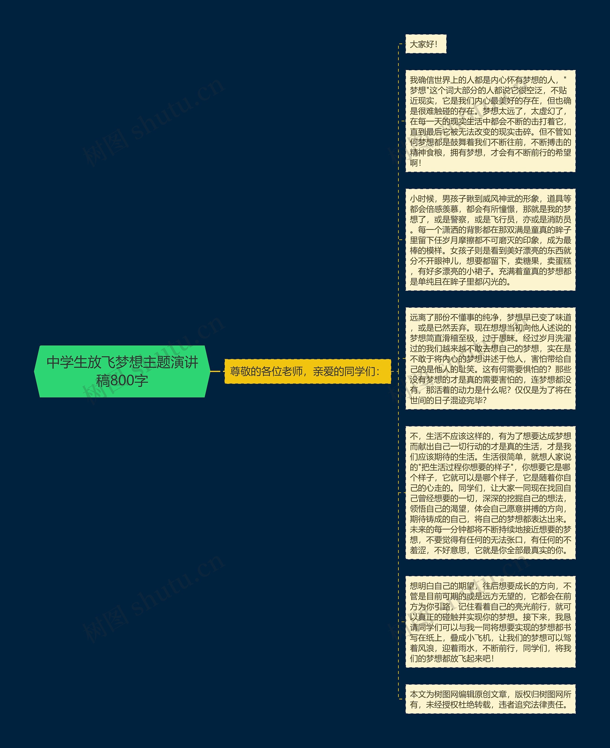 中学生放飞梦想主题演讲稿800字思维导图