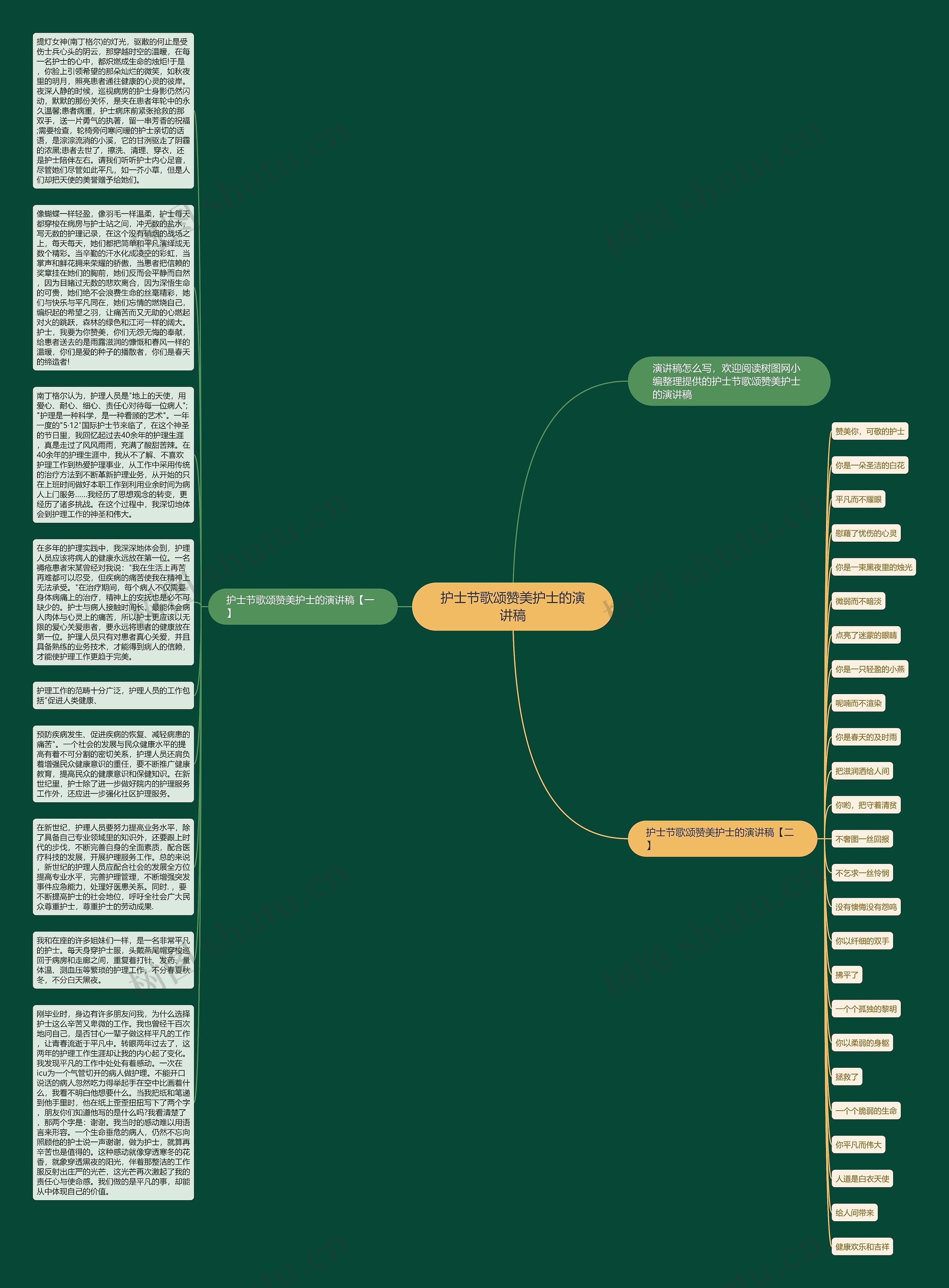 护士节歌颂赞美护士的演讲稿思维导图