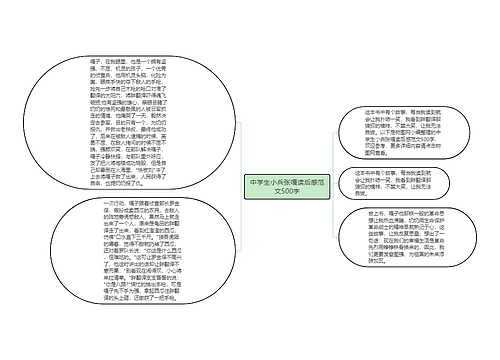 中学生小兵张嘎读后感范文500字