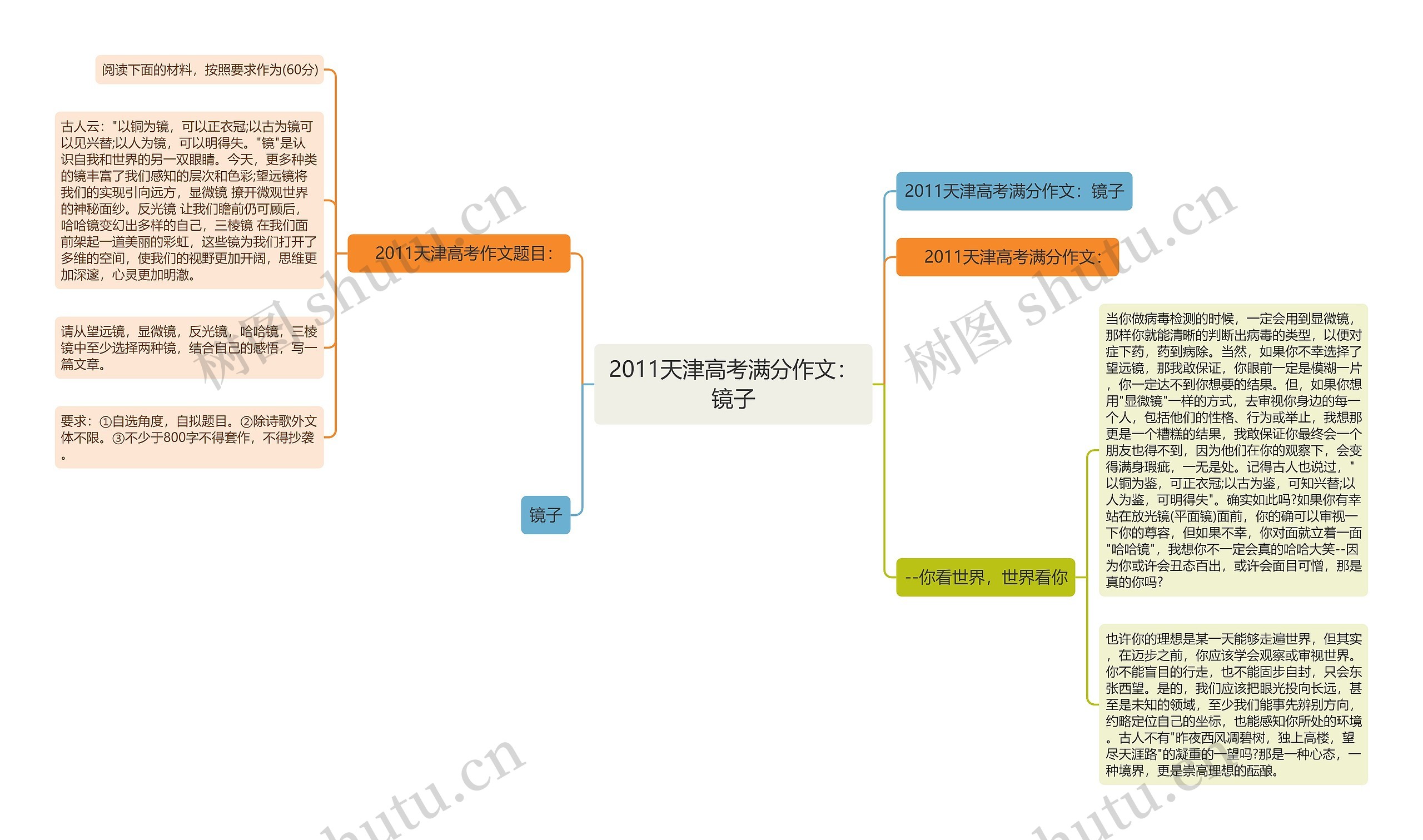 2011天津高考满分作文：镜子