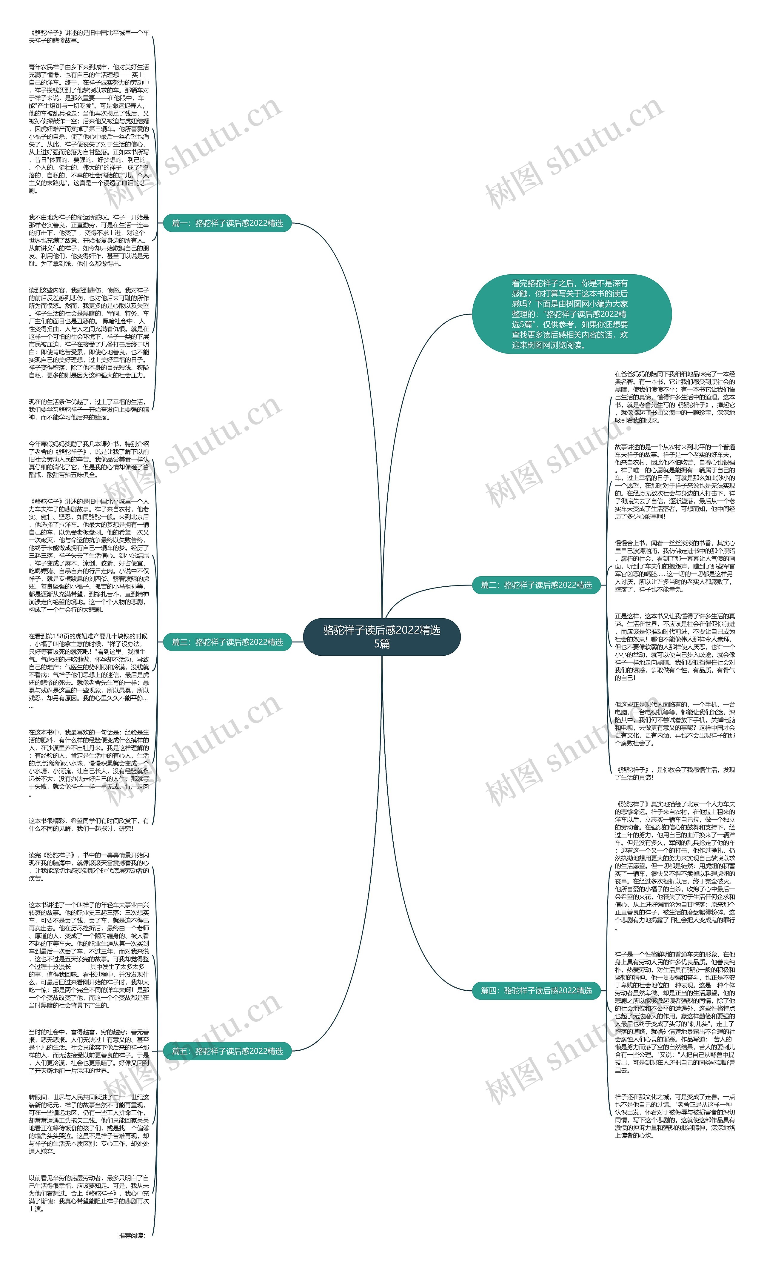 骆驼祥子读后感2022精选5篇思维导图