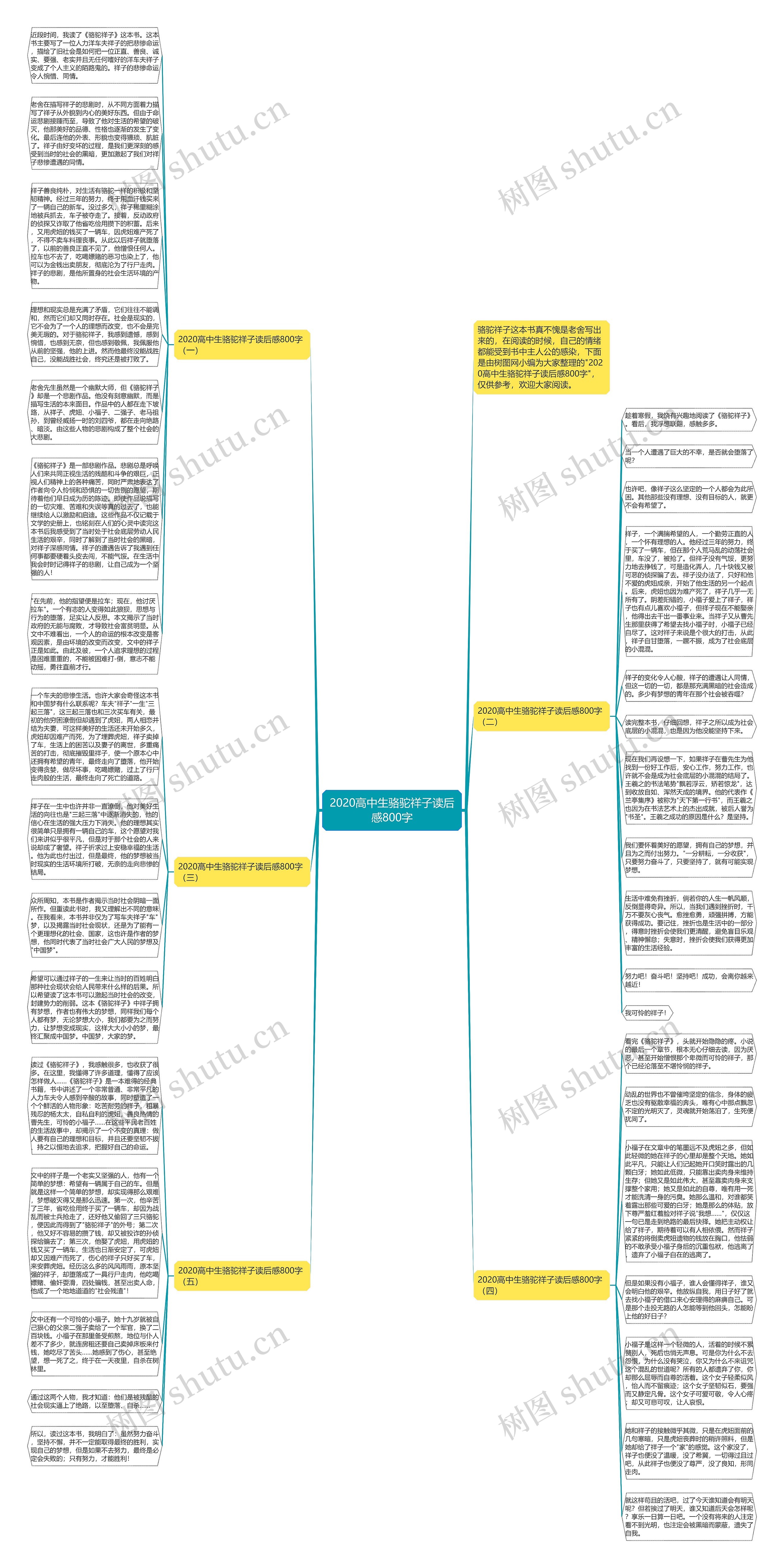 2020高中生骆驼祥子读后感800字思维导图