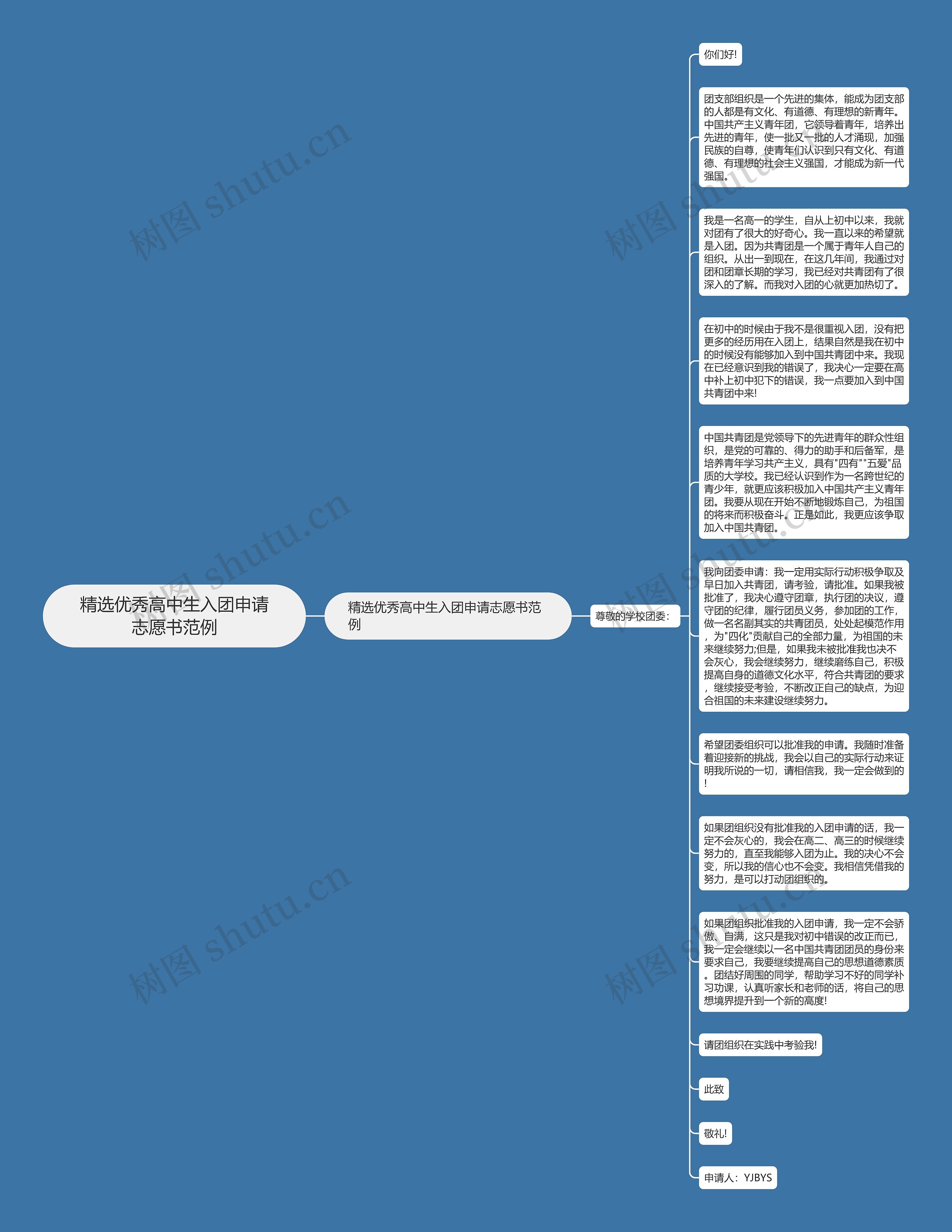 精选优秀高中生入团申请志愿书范例思维导图