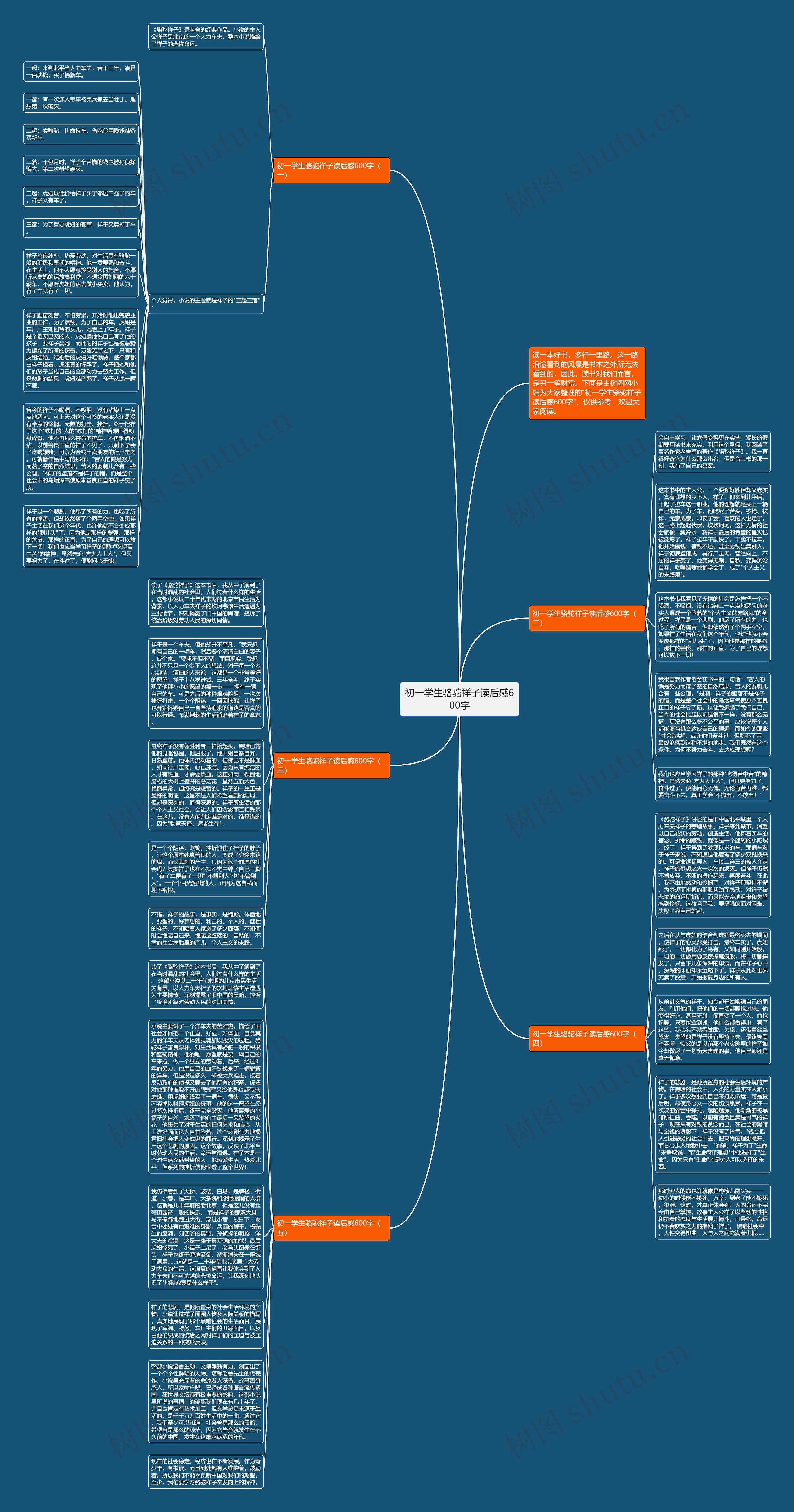 初一学生骆驼祥子读后感600字思维导图