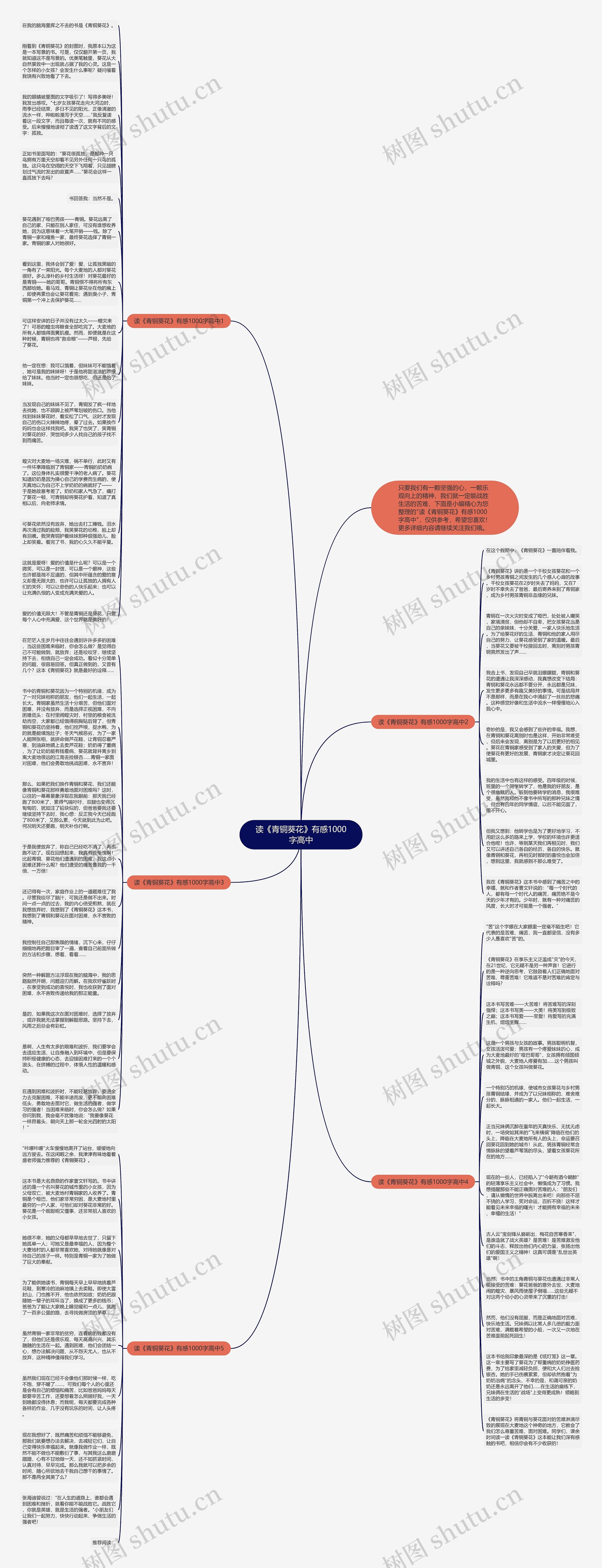 读《青铜葵花》有感1000字高中思维导图