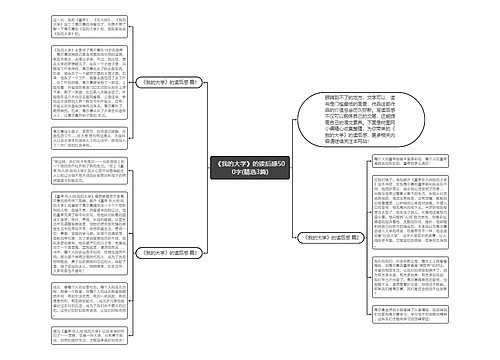 《我的大学》的读后感500字(精选3篇)