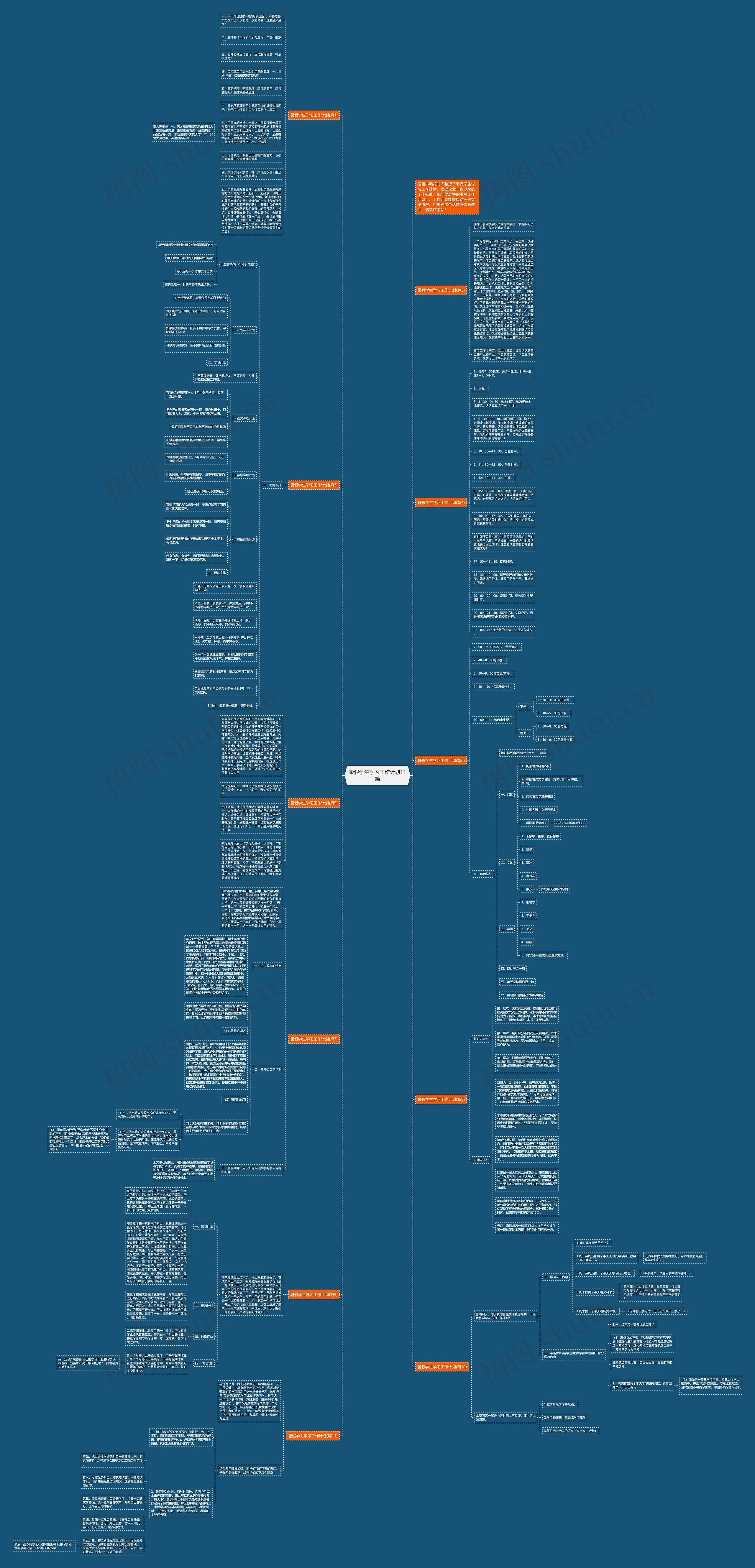 暑假学生学习工作计划11篇思维导图