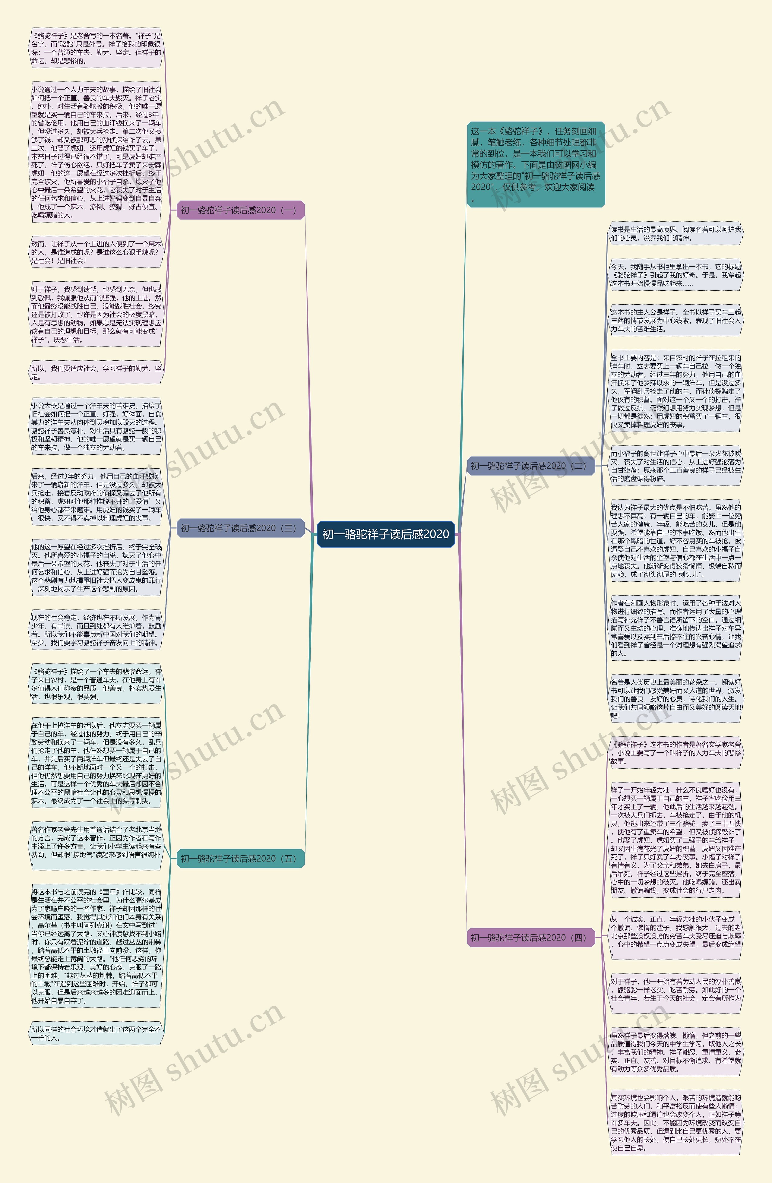 初一骆驼祥子读后感2020思维导图