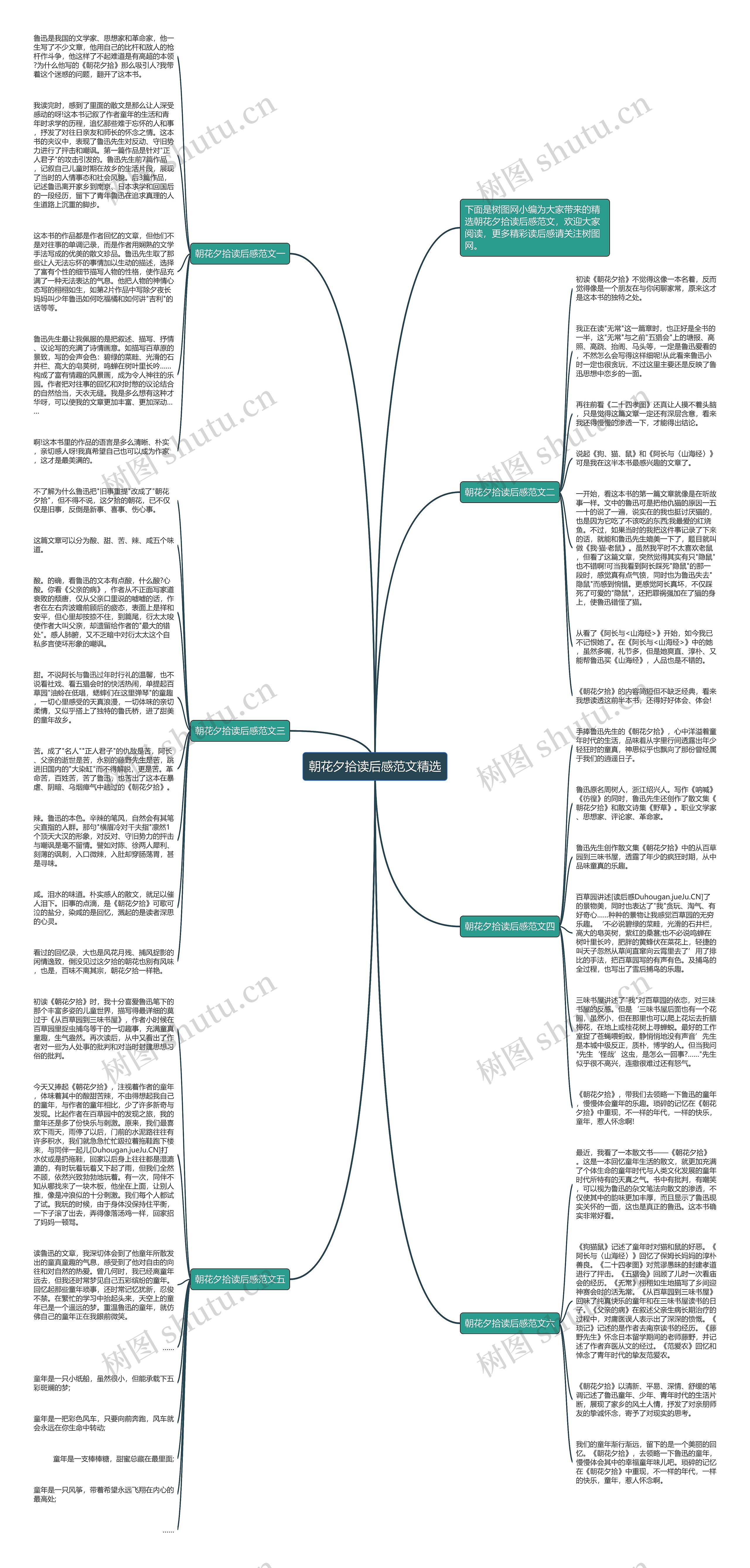 朝花夕拾读后感范文精选思维导图