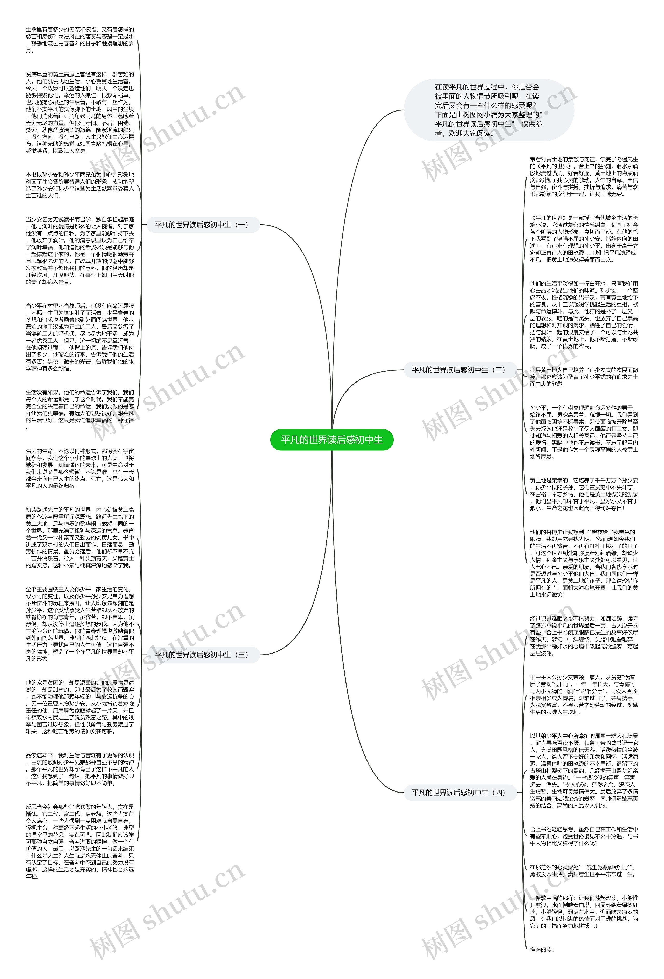 平凡的世界读后感初中生思维导图
