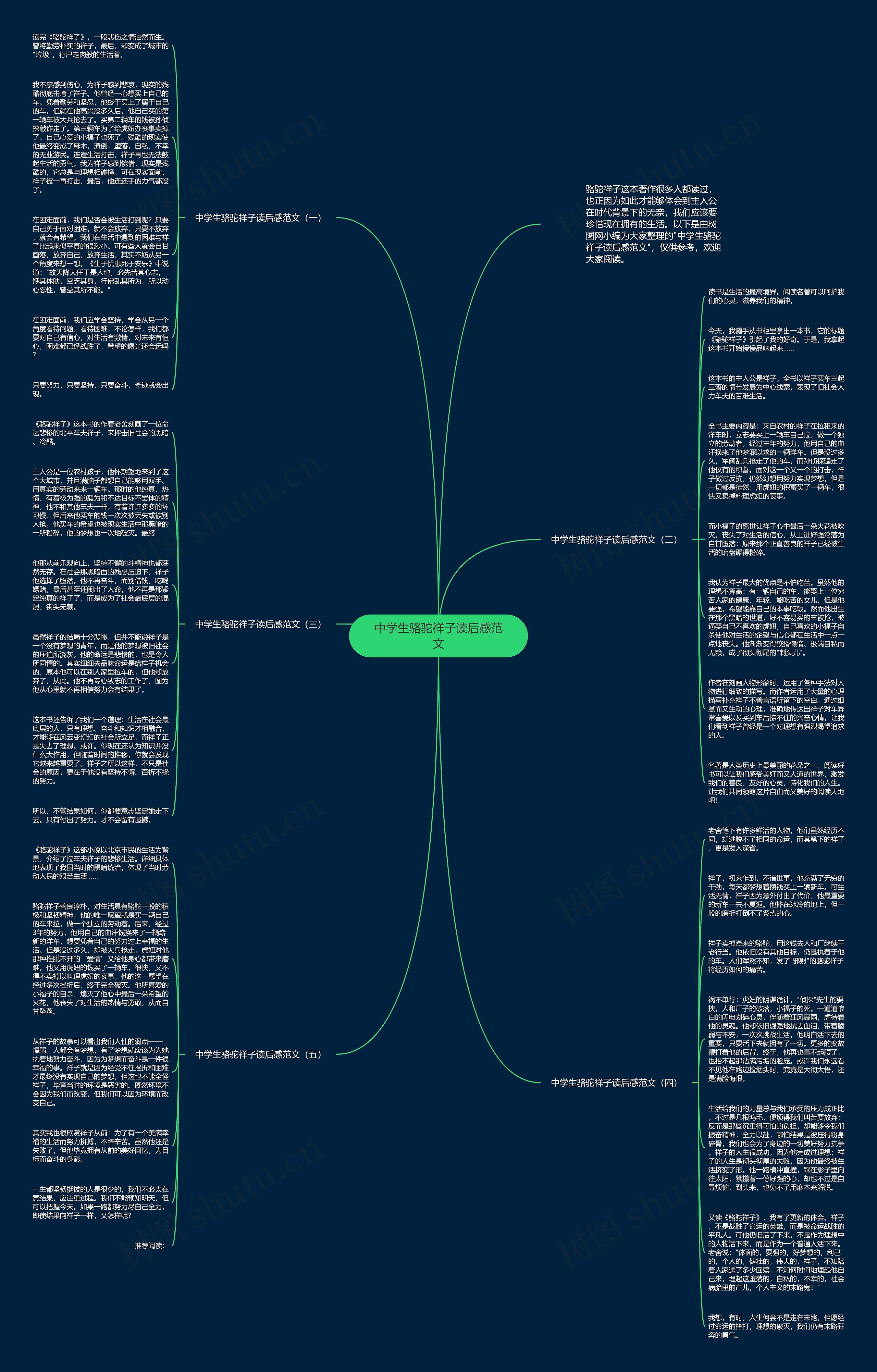 中学生骆驼祥子读后感范文思维导图