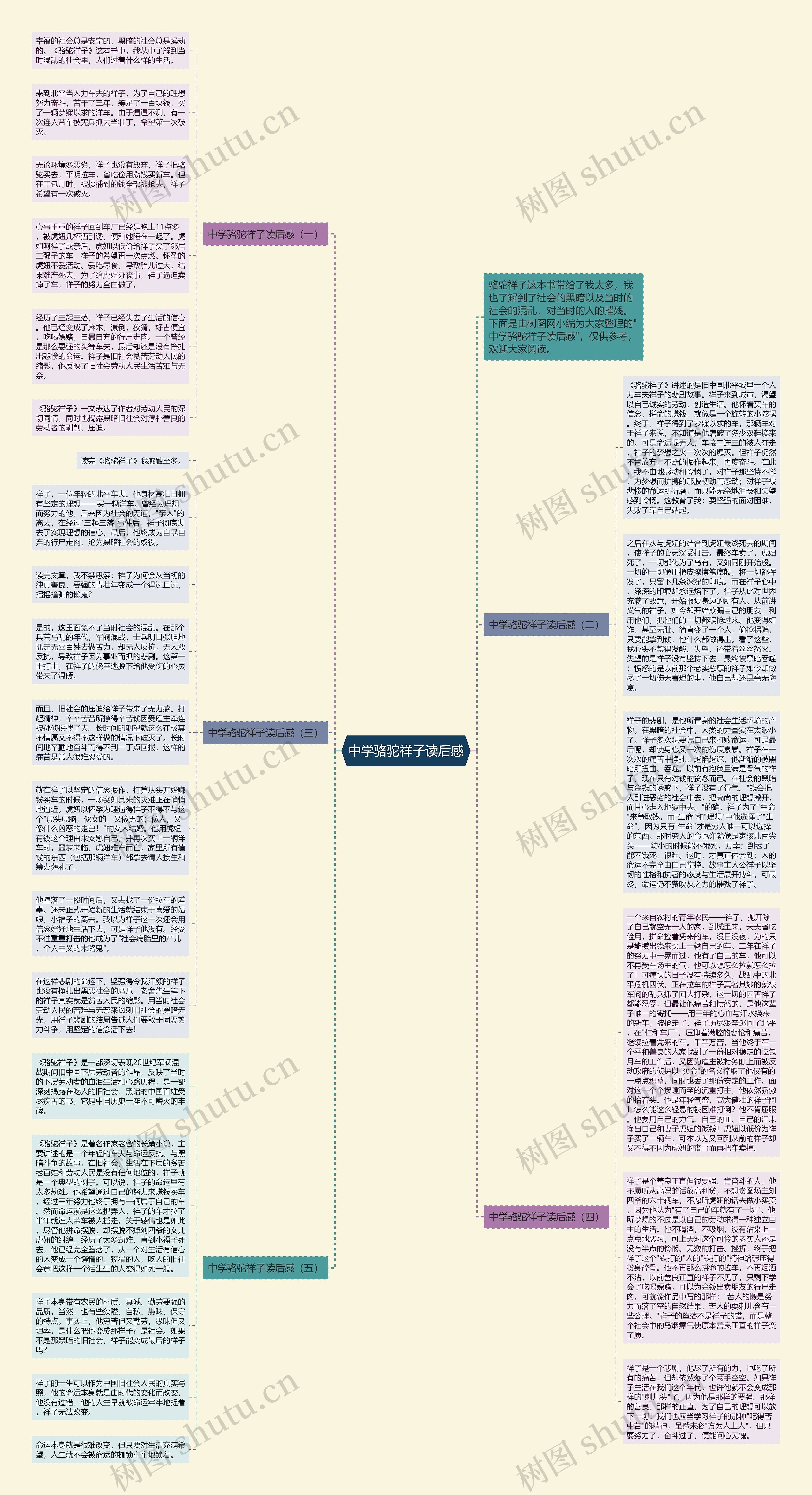 中学骆驼祥子读后感思维导图