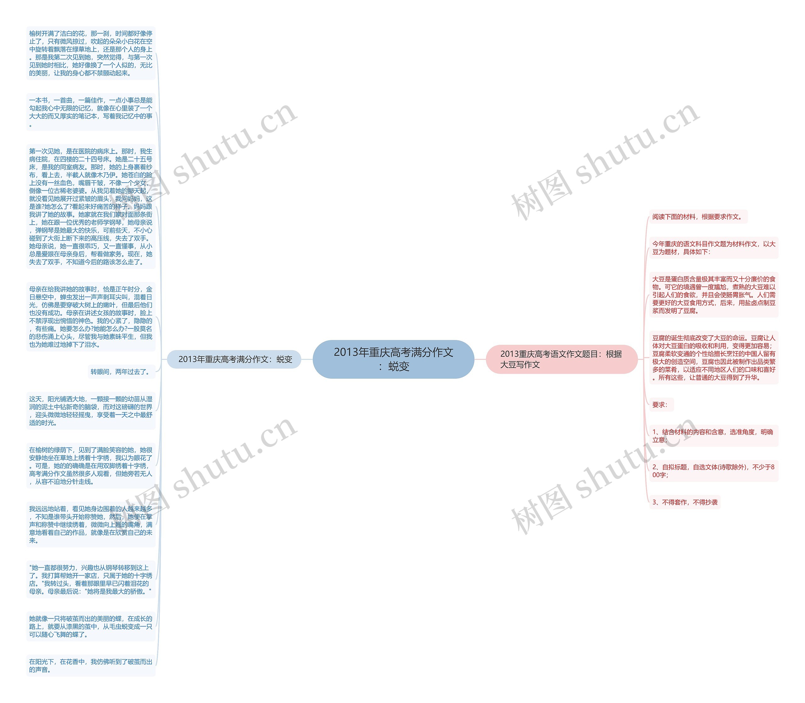 2013年重庆高考满分作文：蜕变思维导图