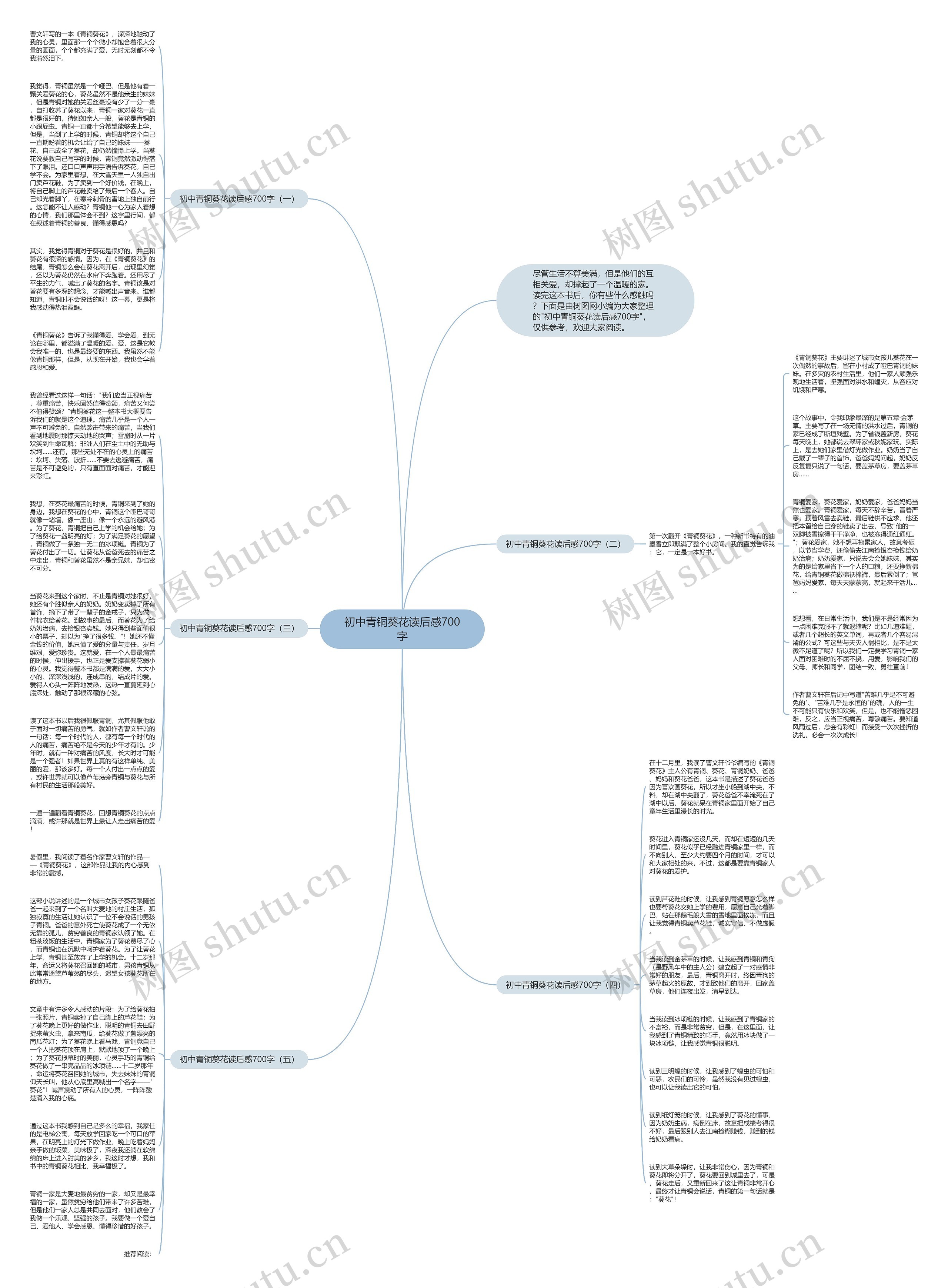 初中青铜葵花读后感700字思维导图