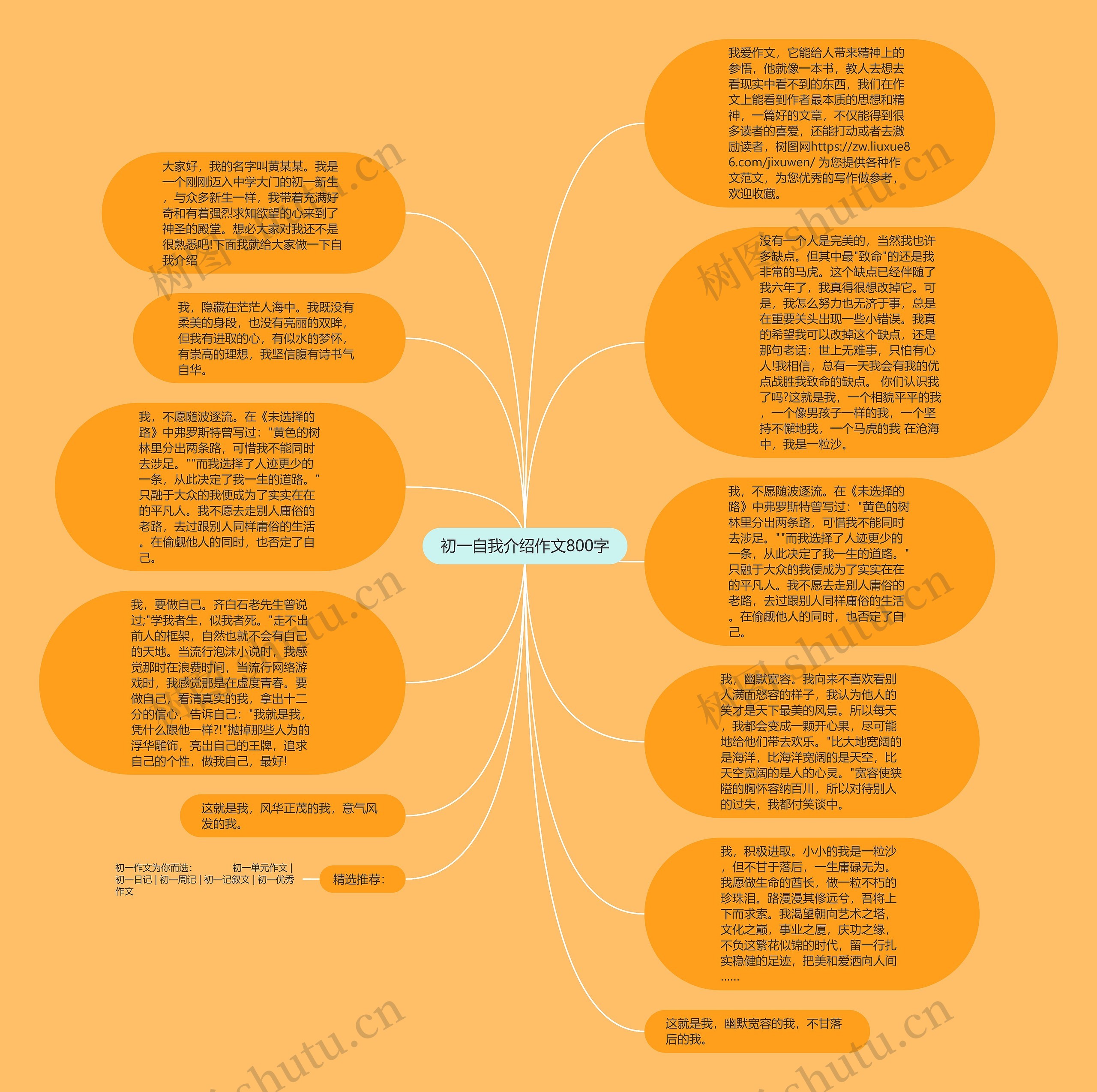 初一自我介绍作文800字