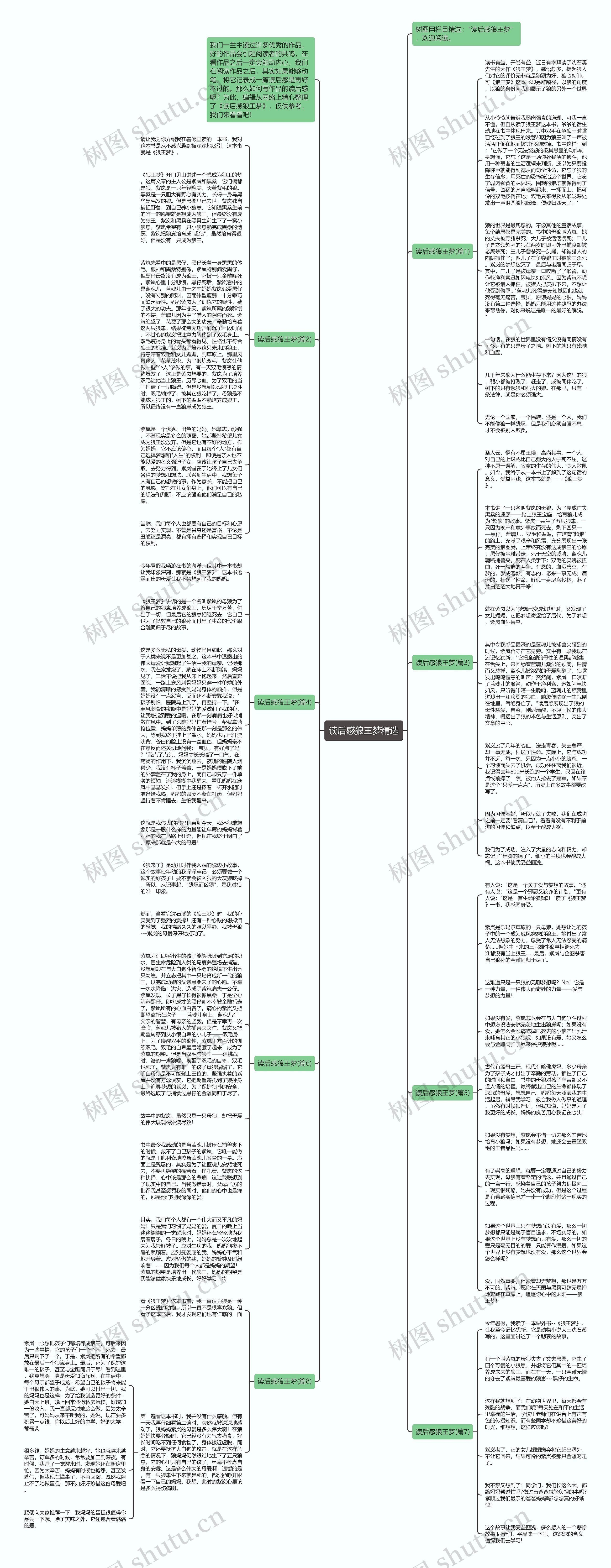 读后感狼王梦精选思维导图