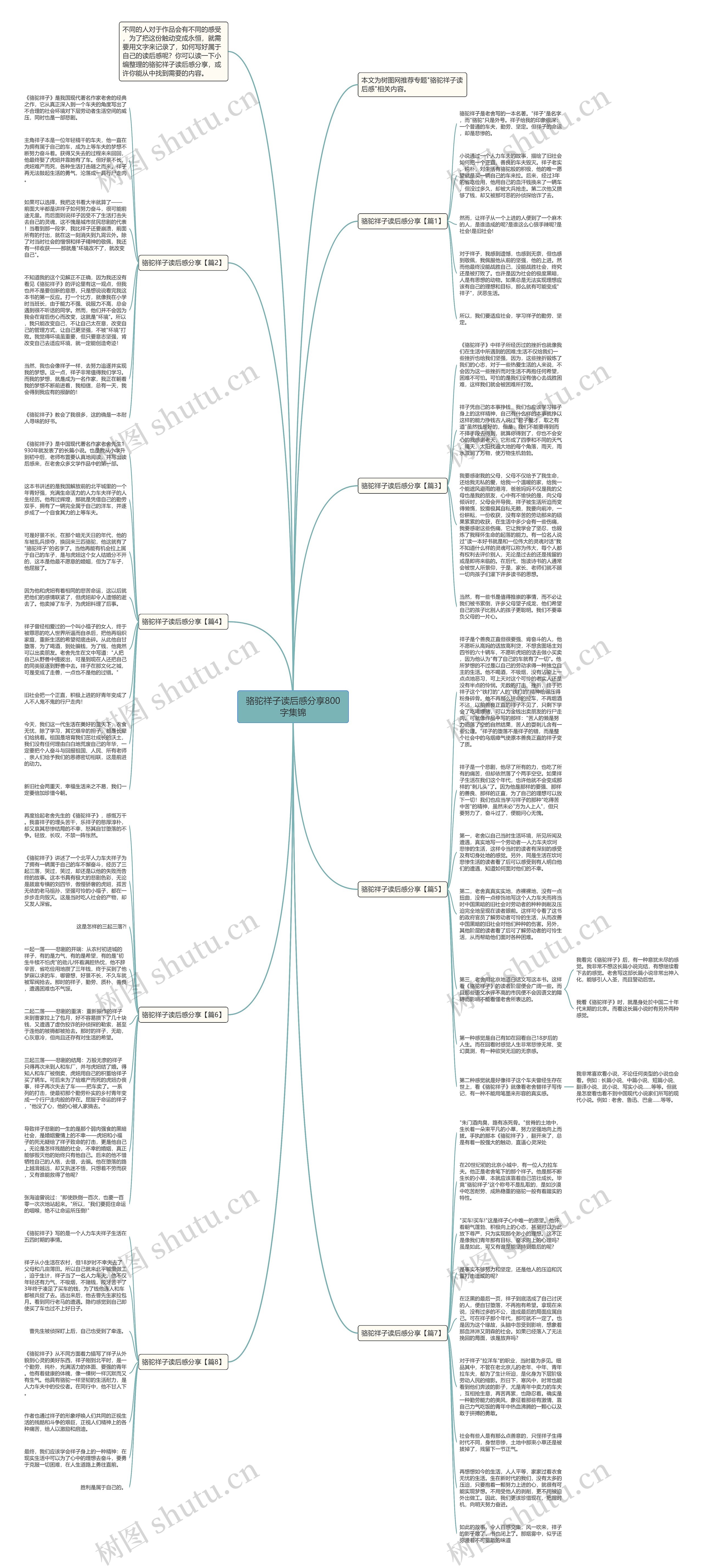 骆驼祥子读后感分享800字集锦思维导图