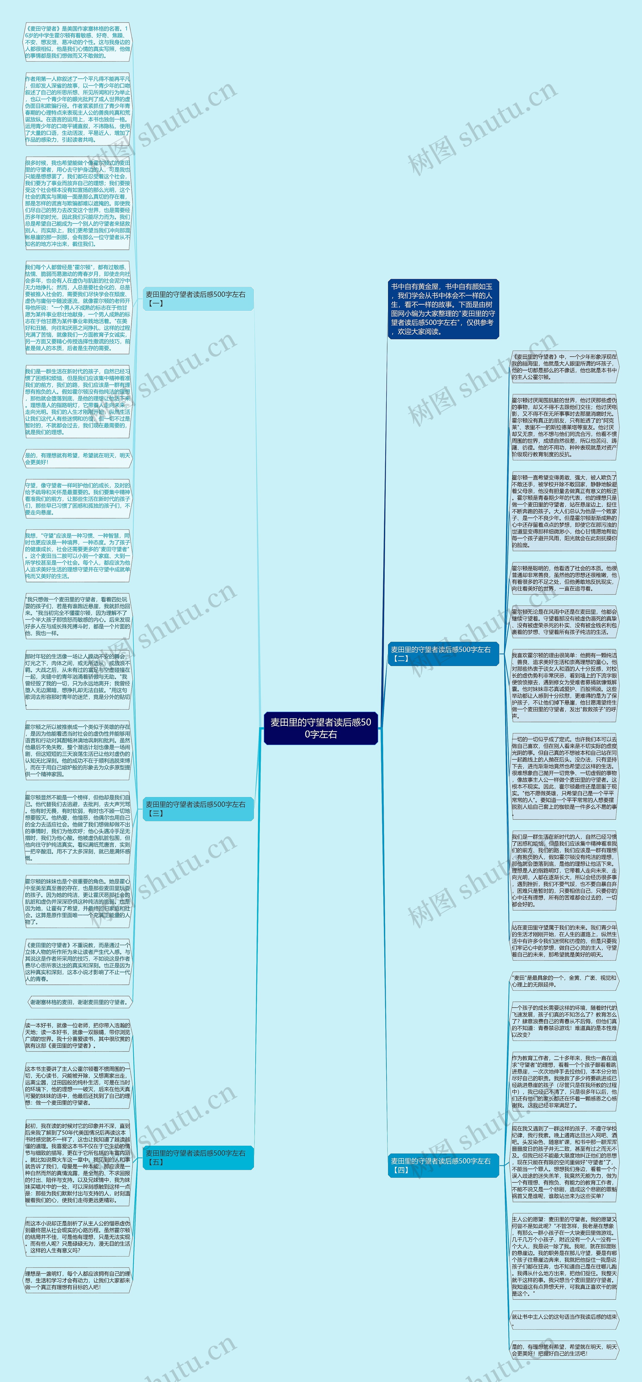 麦田里的守望者读后感500字左右思维导图