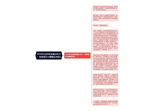 2010年北京高考满分作文：仰望星空与脚踏实地(8)